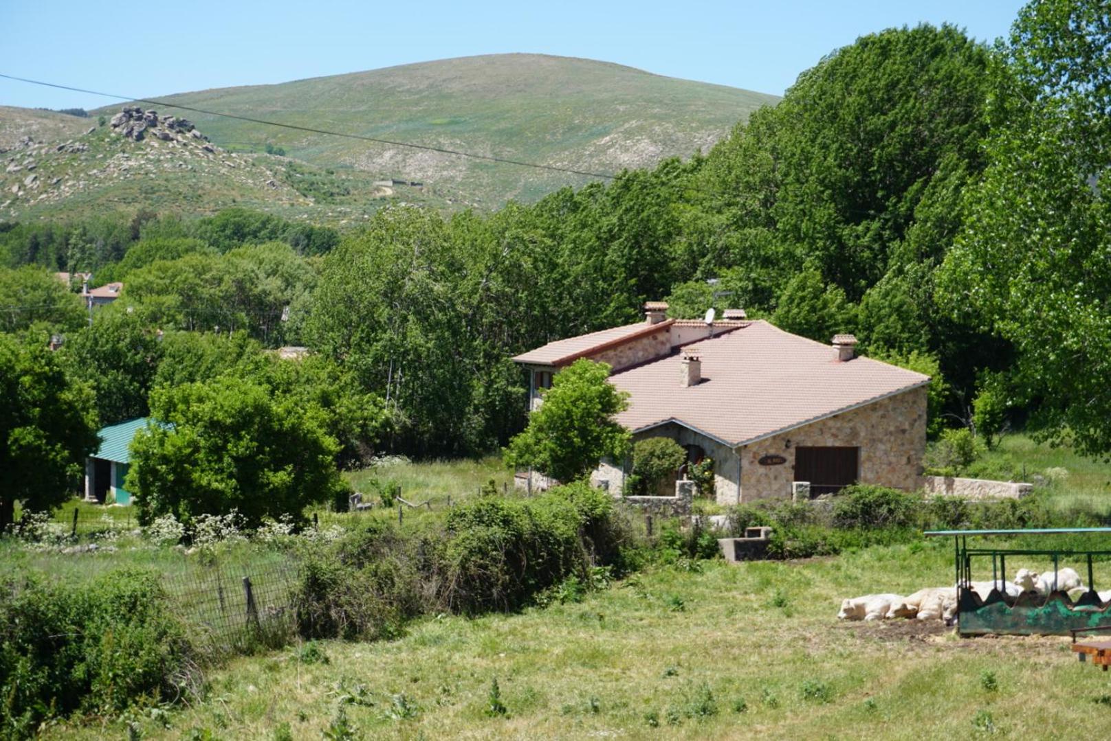 La Puerta de Gredos view 2