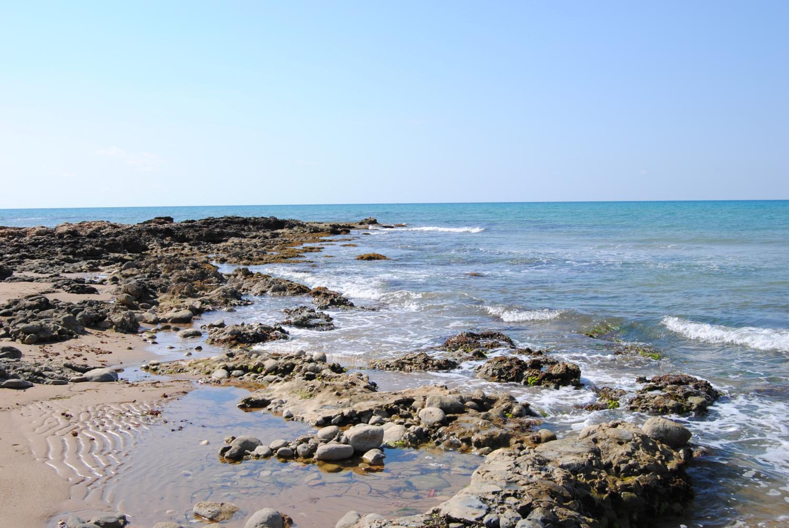 Photo 22