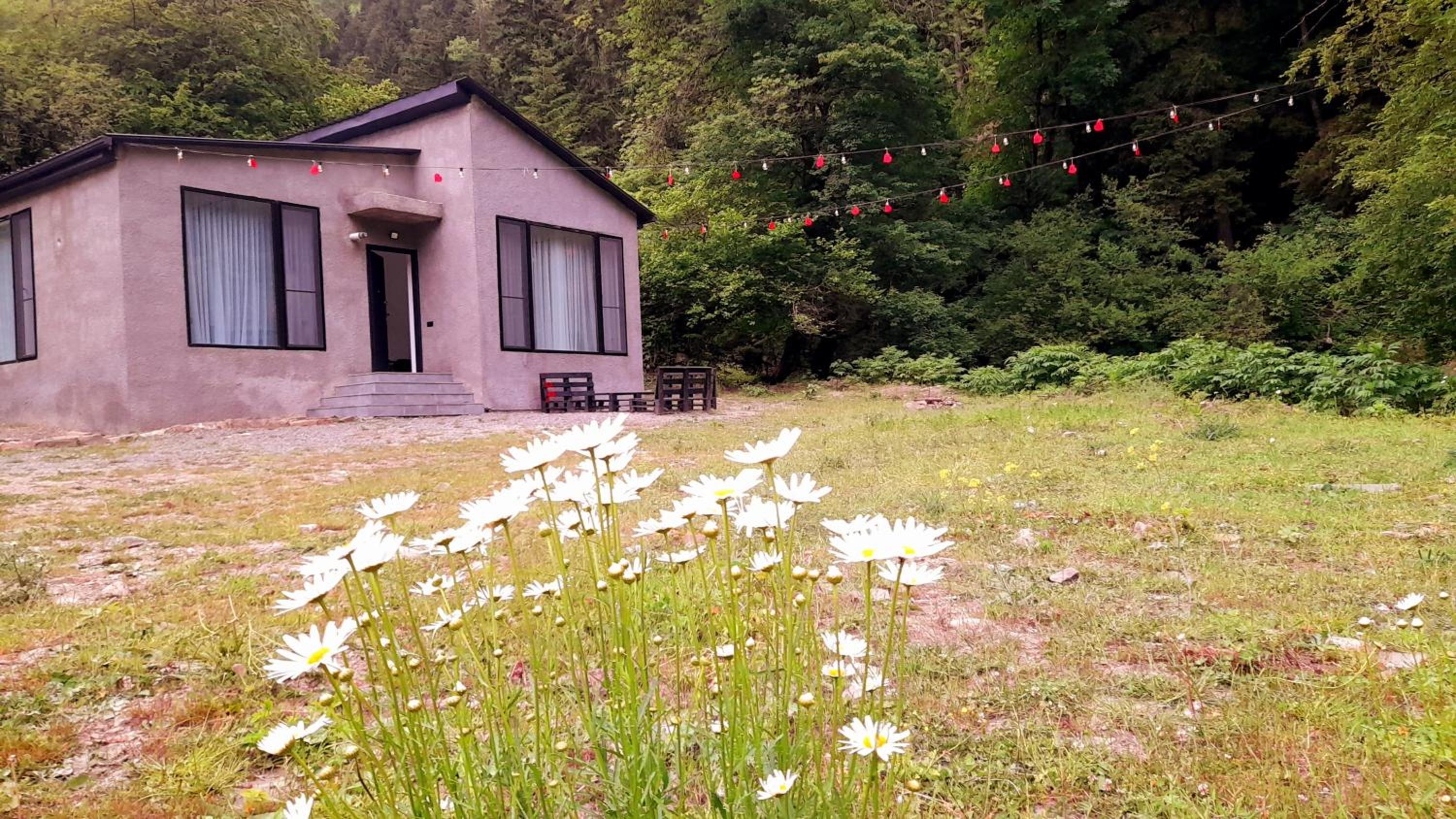 Cozy house in the forest view 2