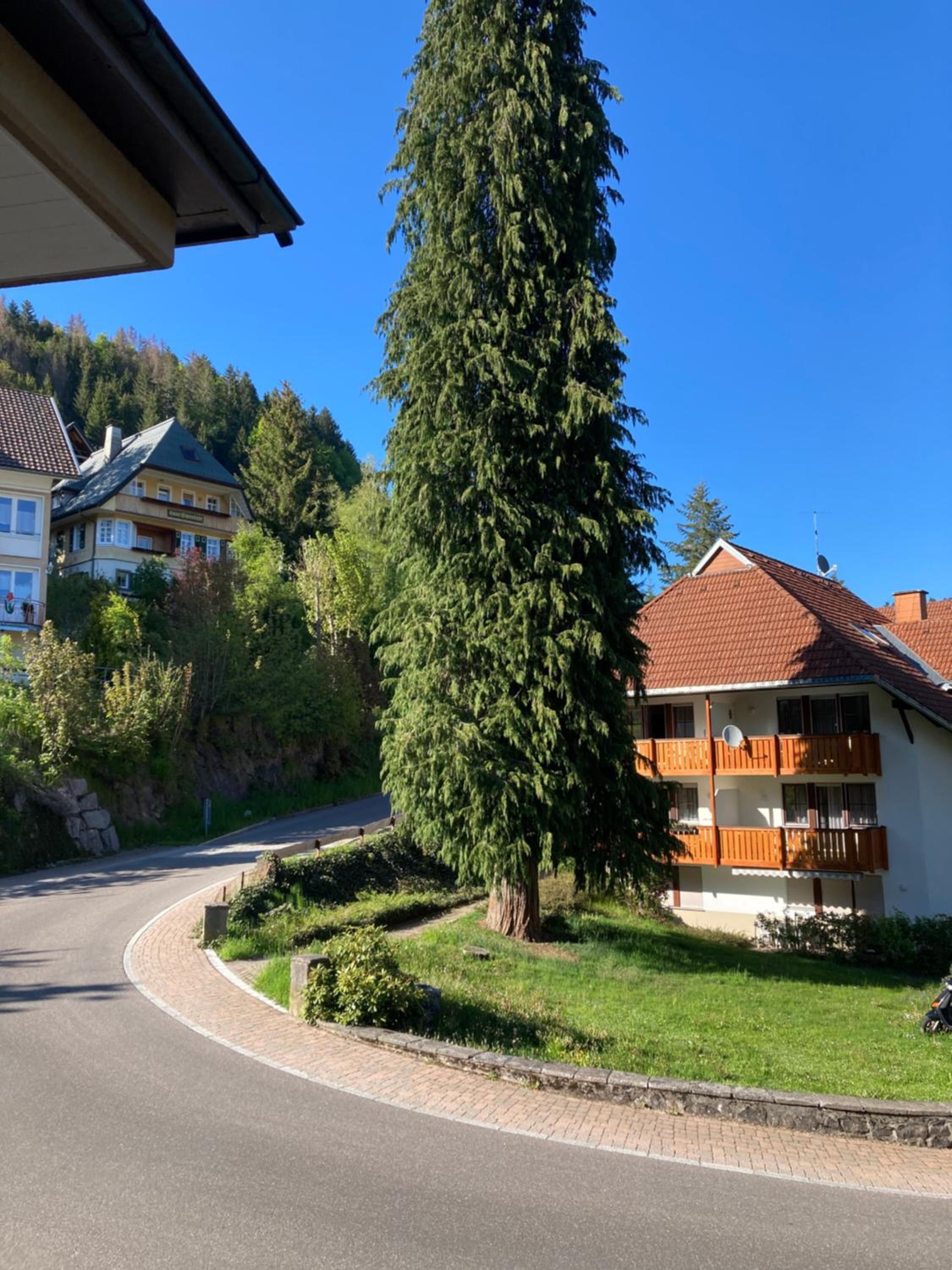 Haus Sonne en Todtmoos — other