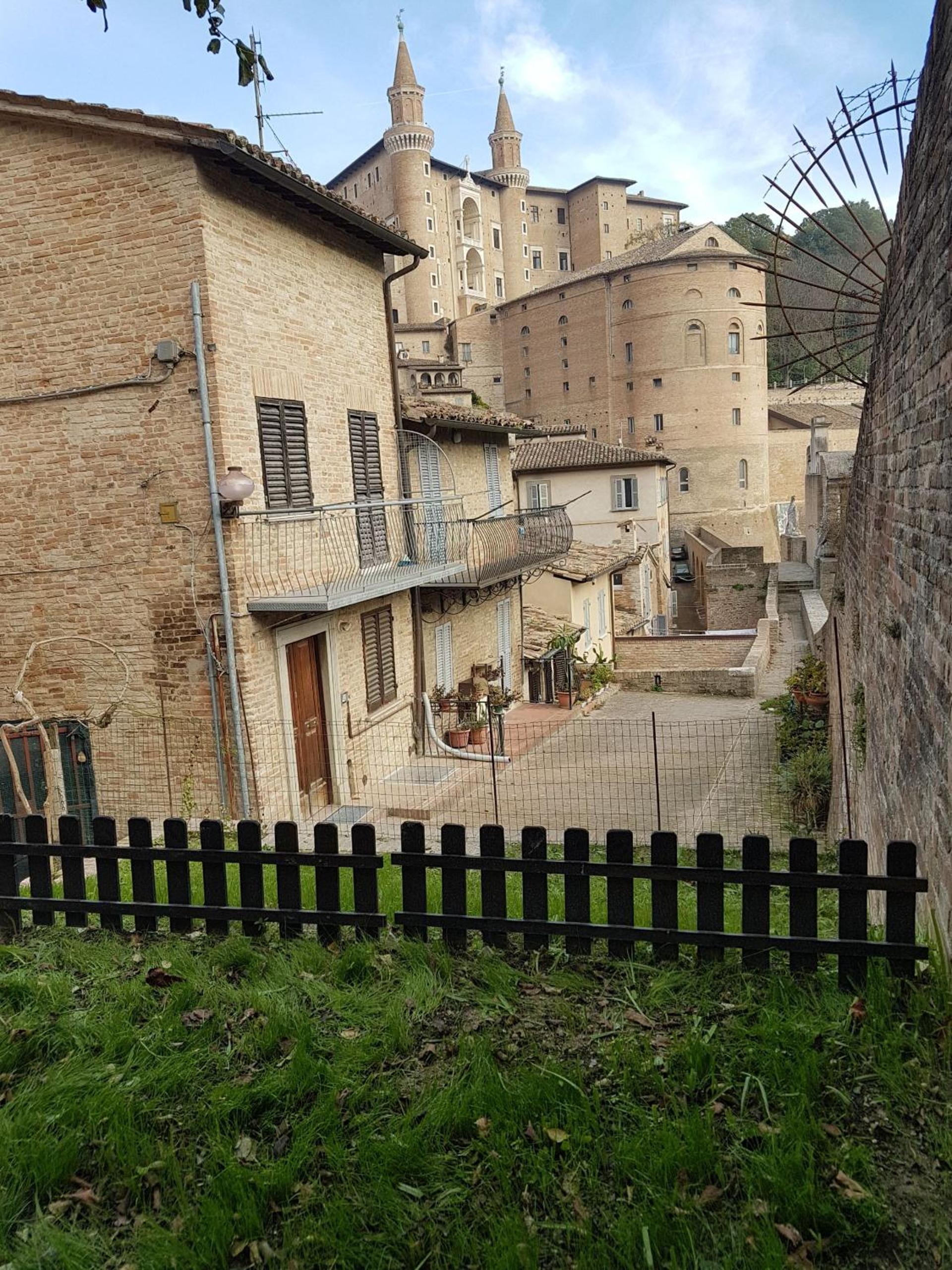 Photo 42