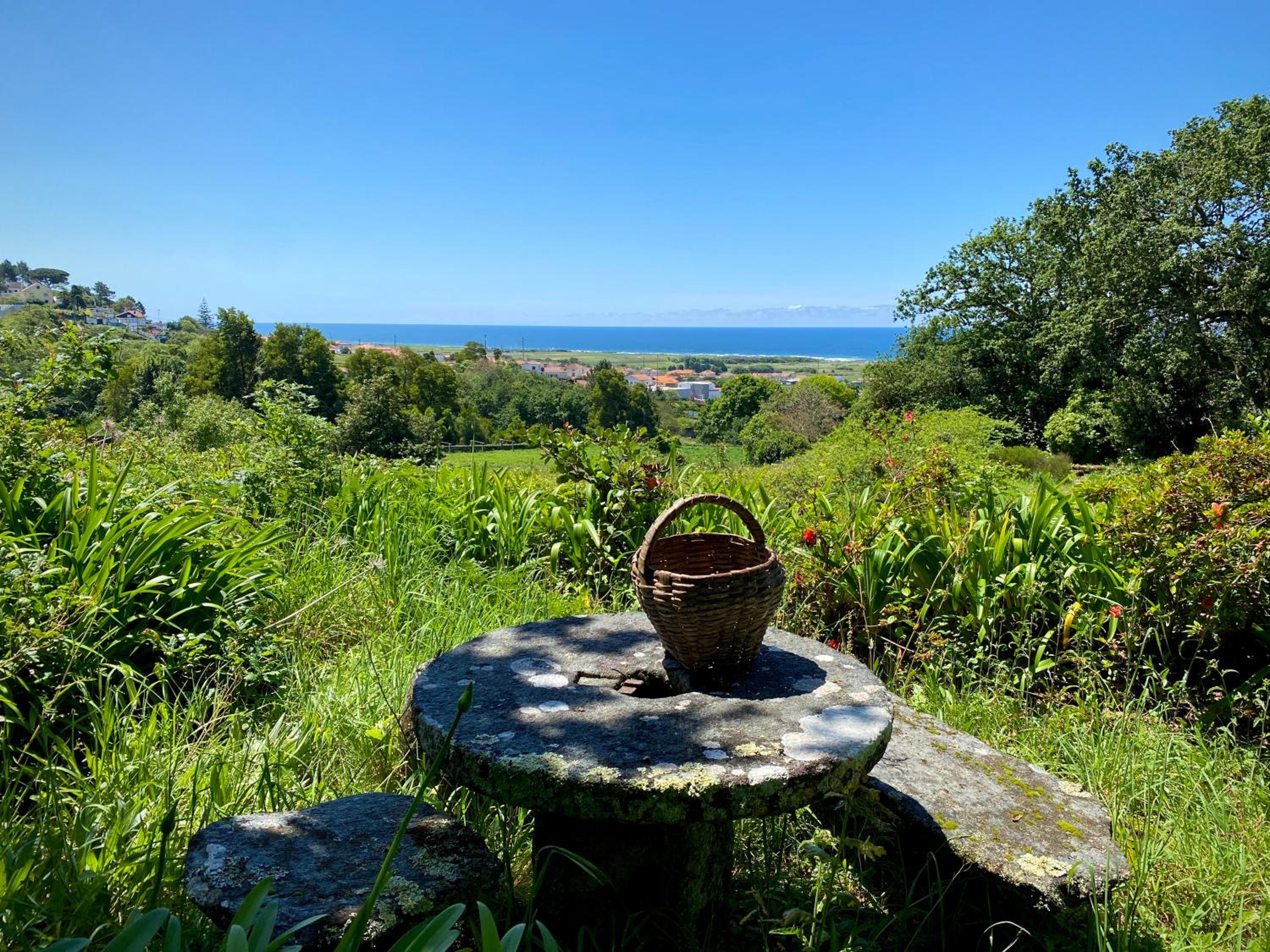 Quinta da Boa Viagem