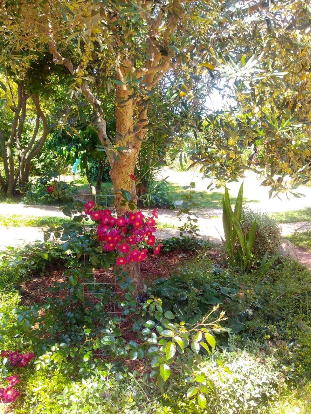 Photo 13