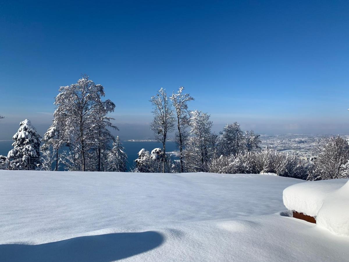 Seeblick Appartements Henle