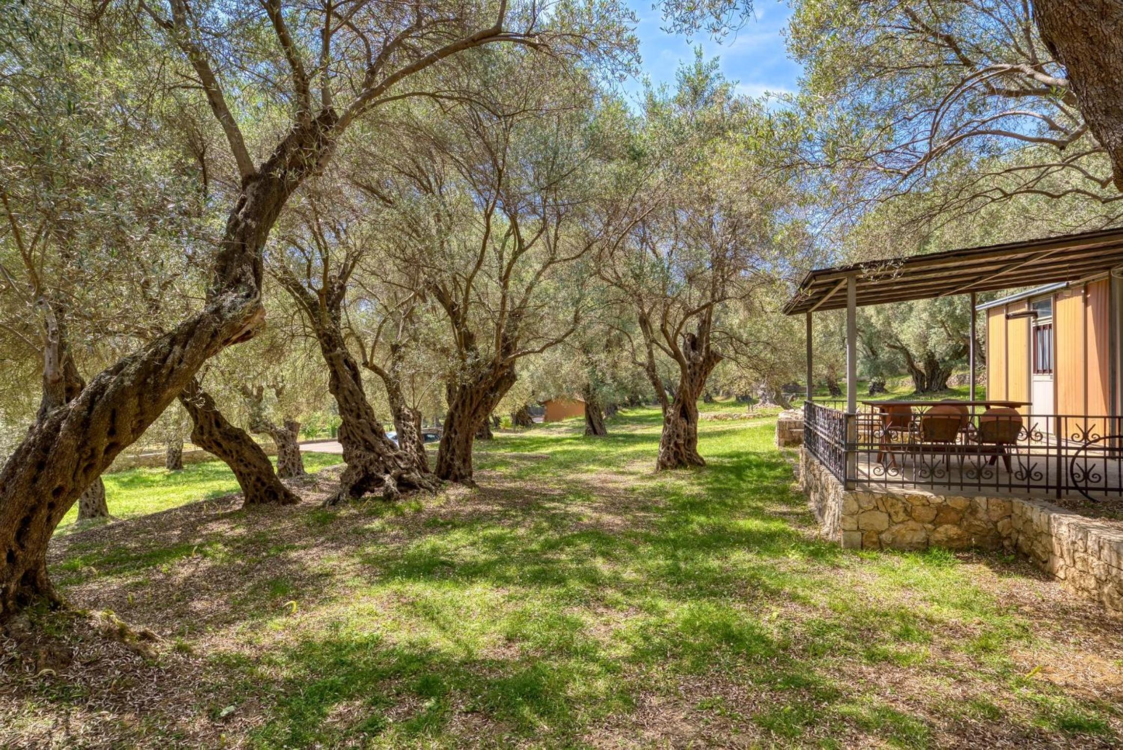 Stonehouse in Olives view 5