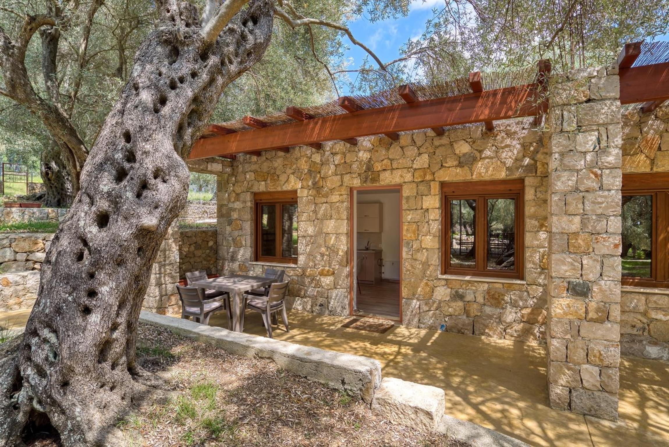 Stonehouse in Olives view 4