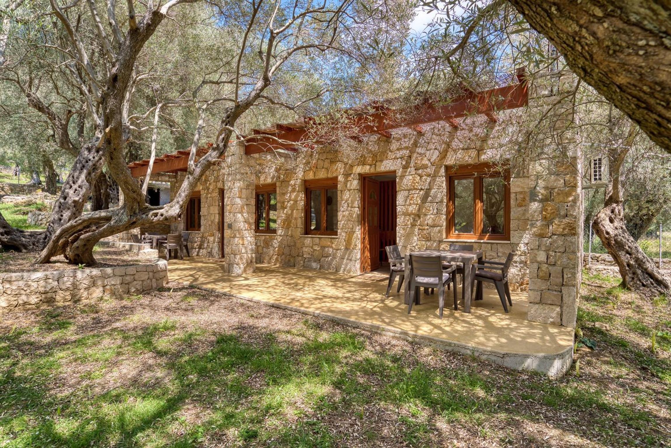 Stonehouse in Olives view 3
