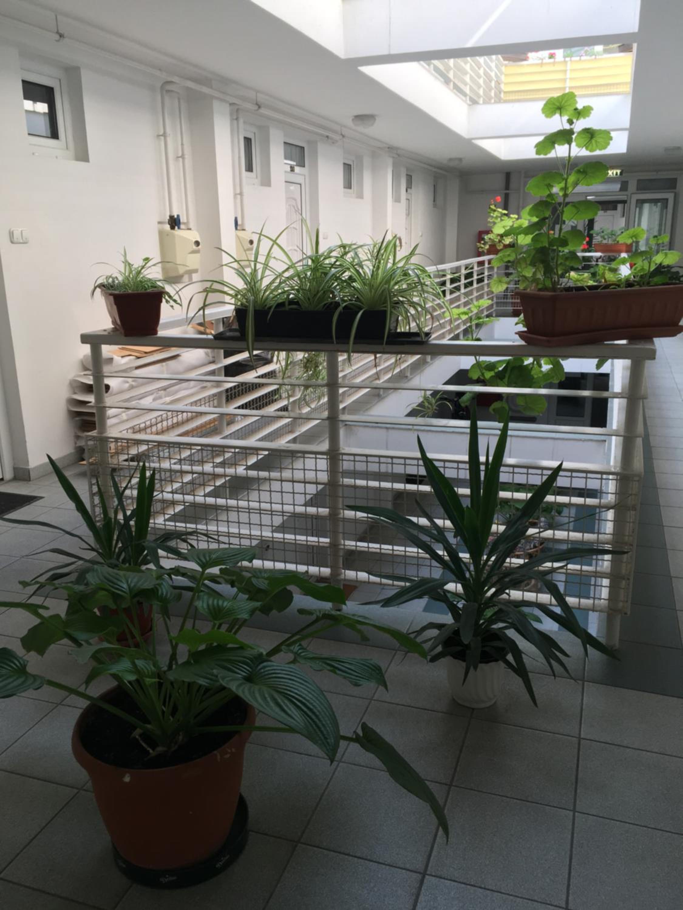 Muskátli Apartmanház