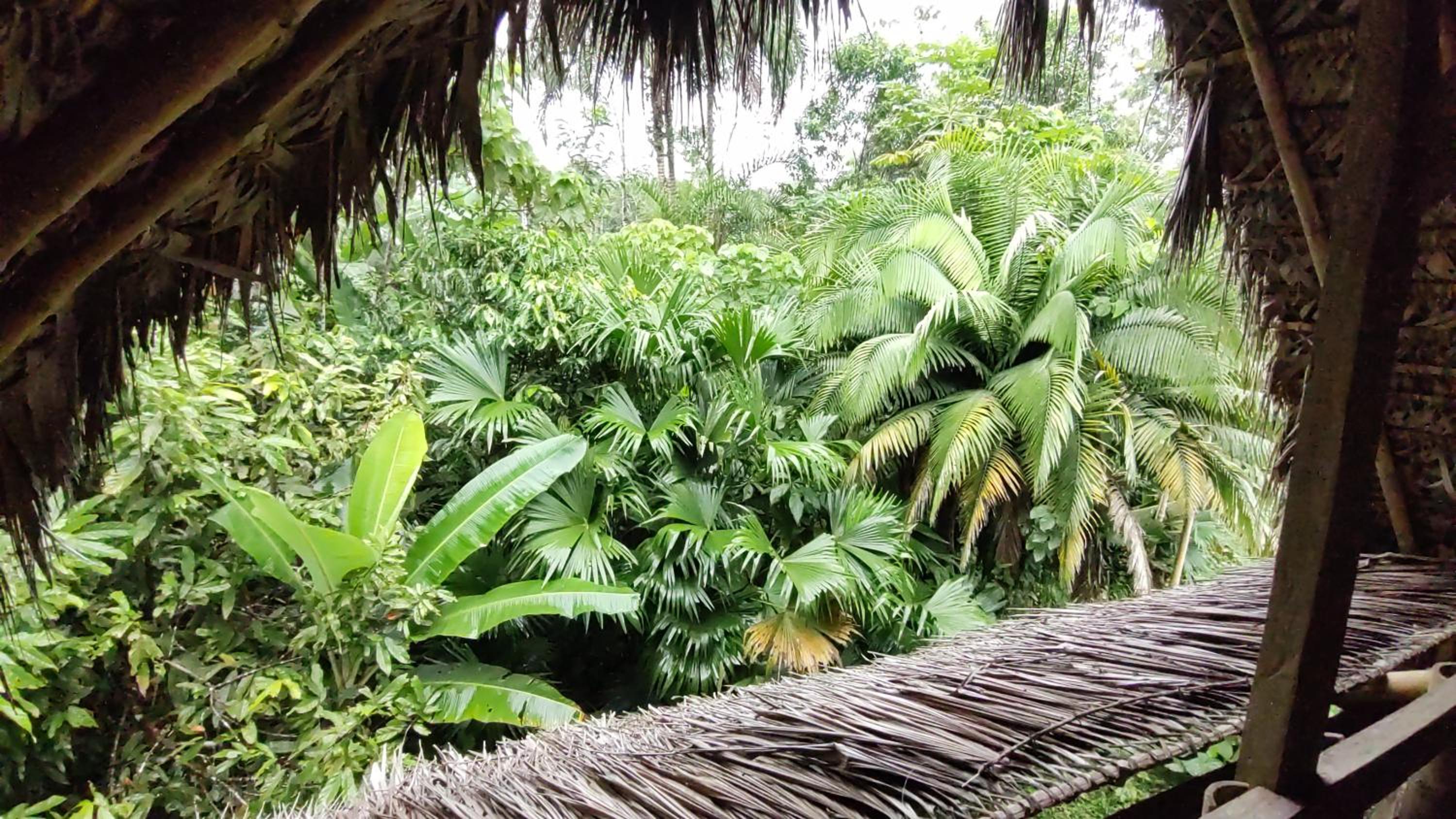 Cabañas Awana