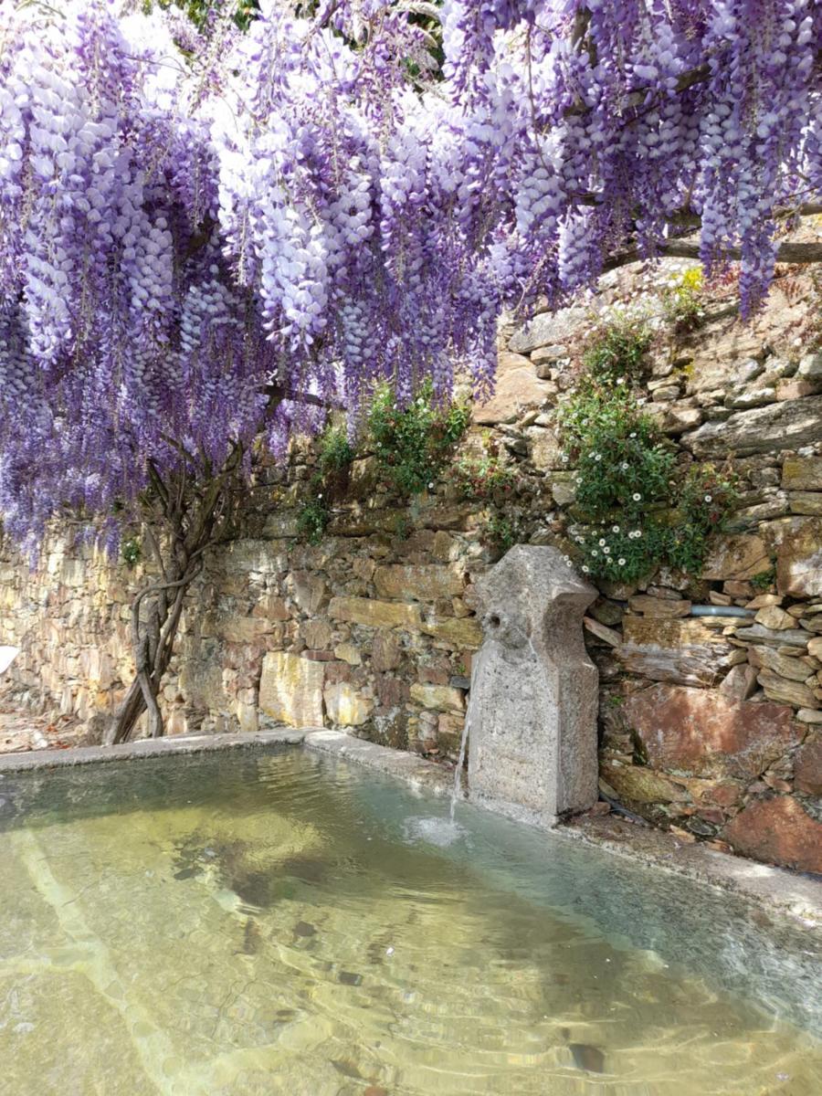 Quinta das Aranhas