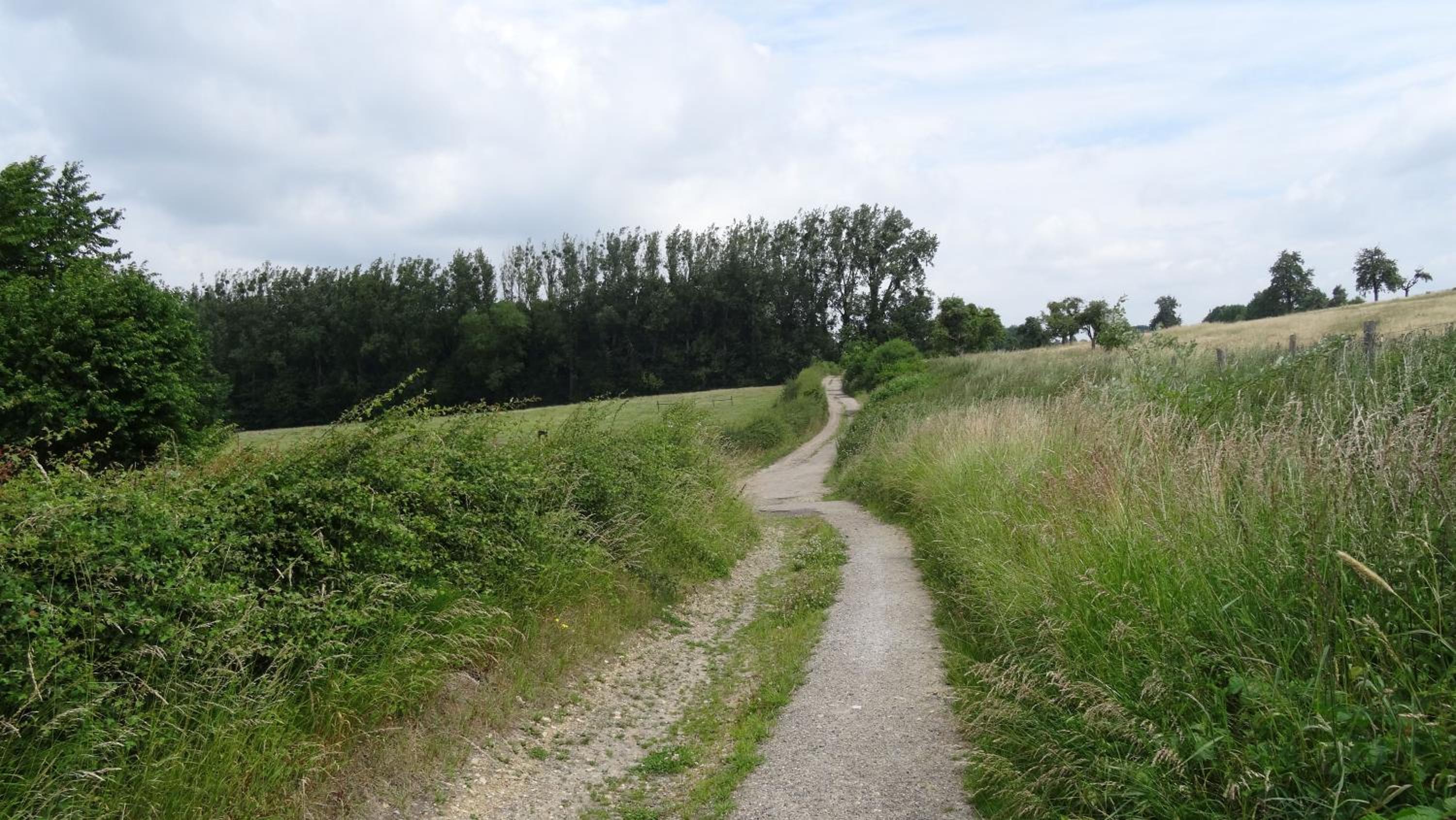 Photo 24
