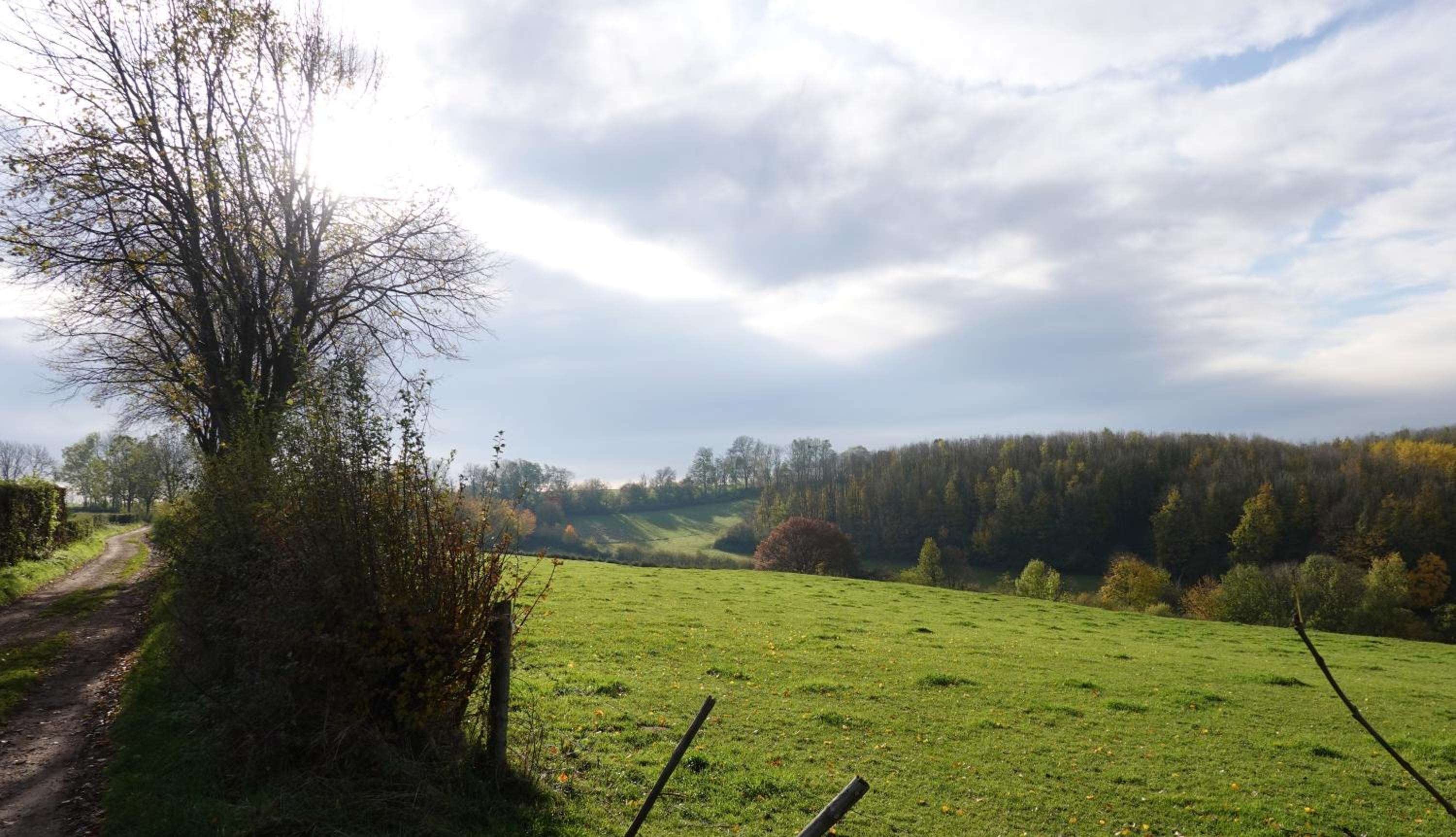 Photo 25