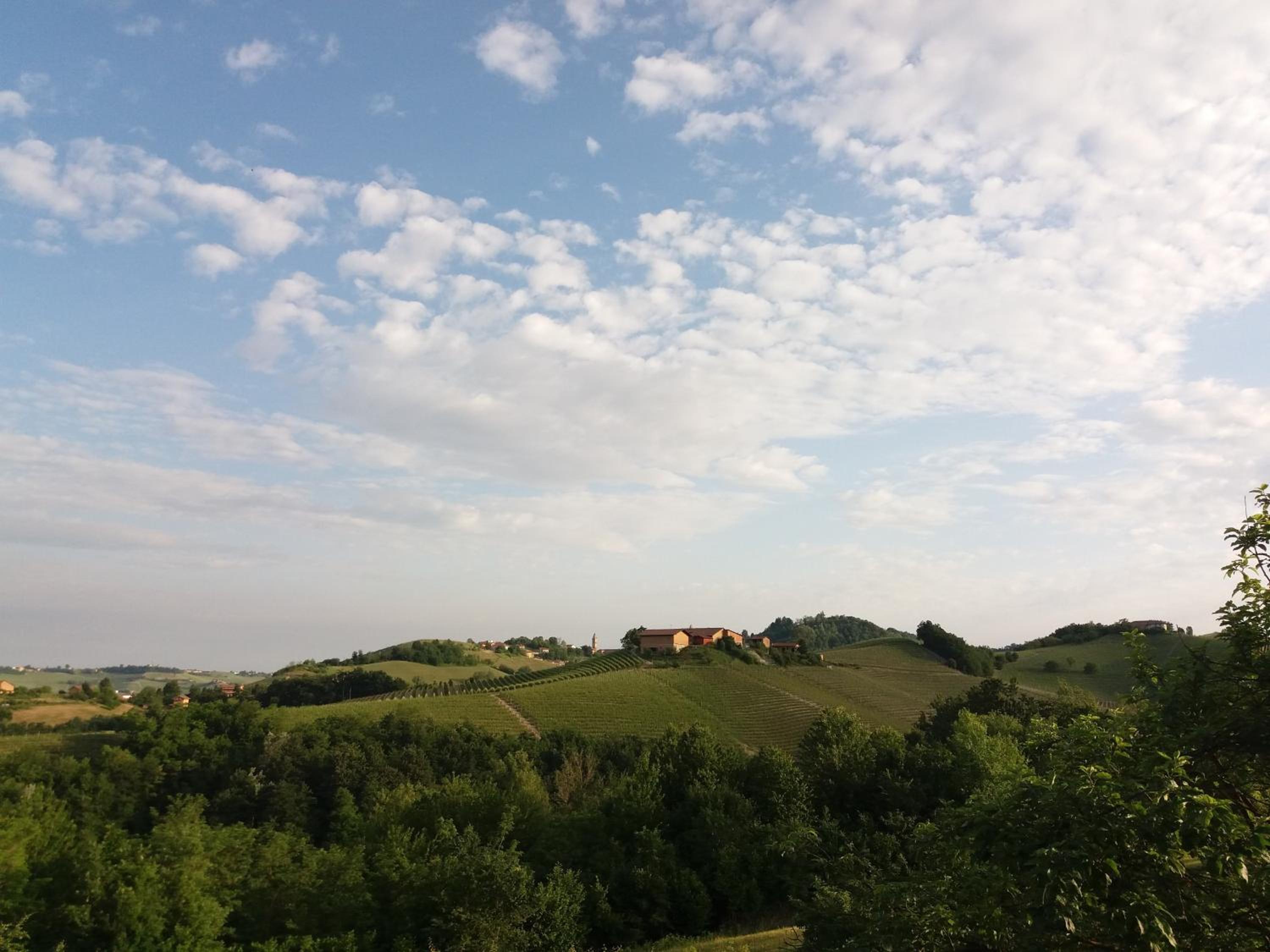 Photo 24