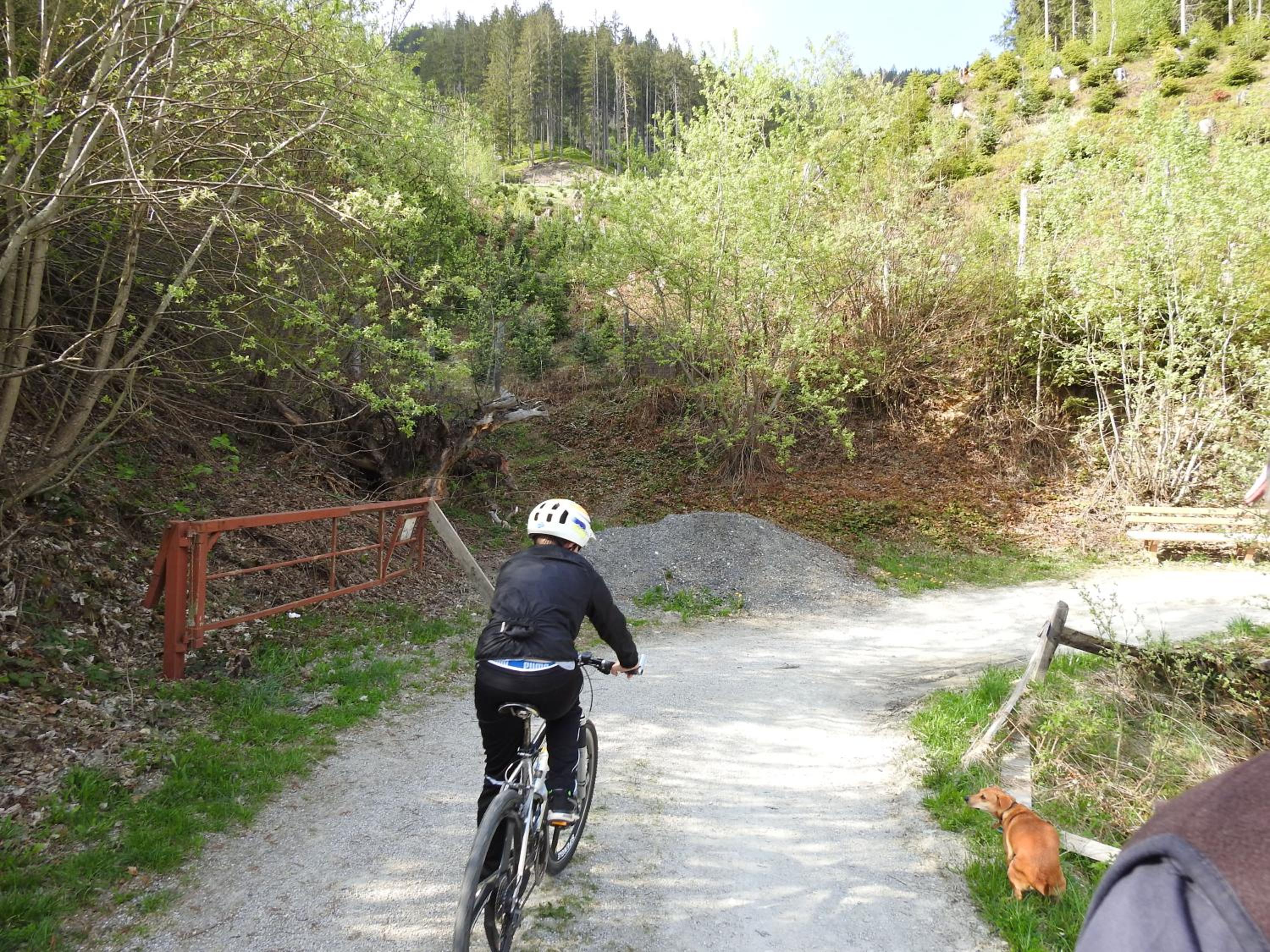 Pension Alpenrose
