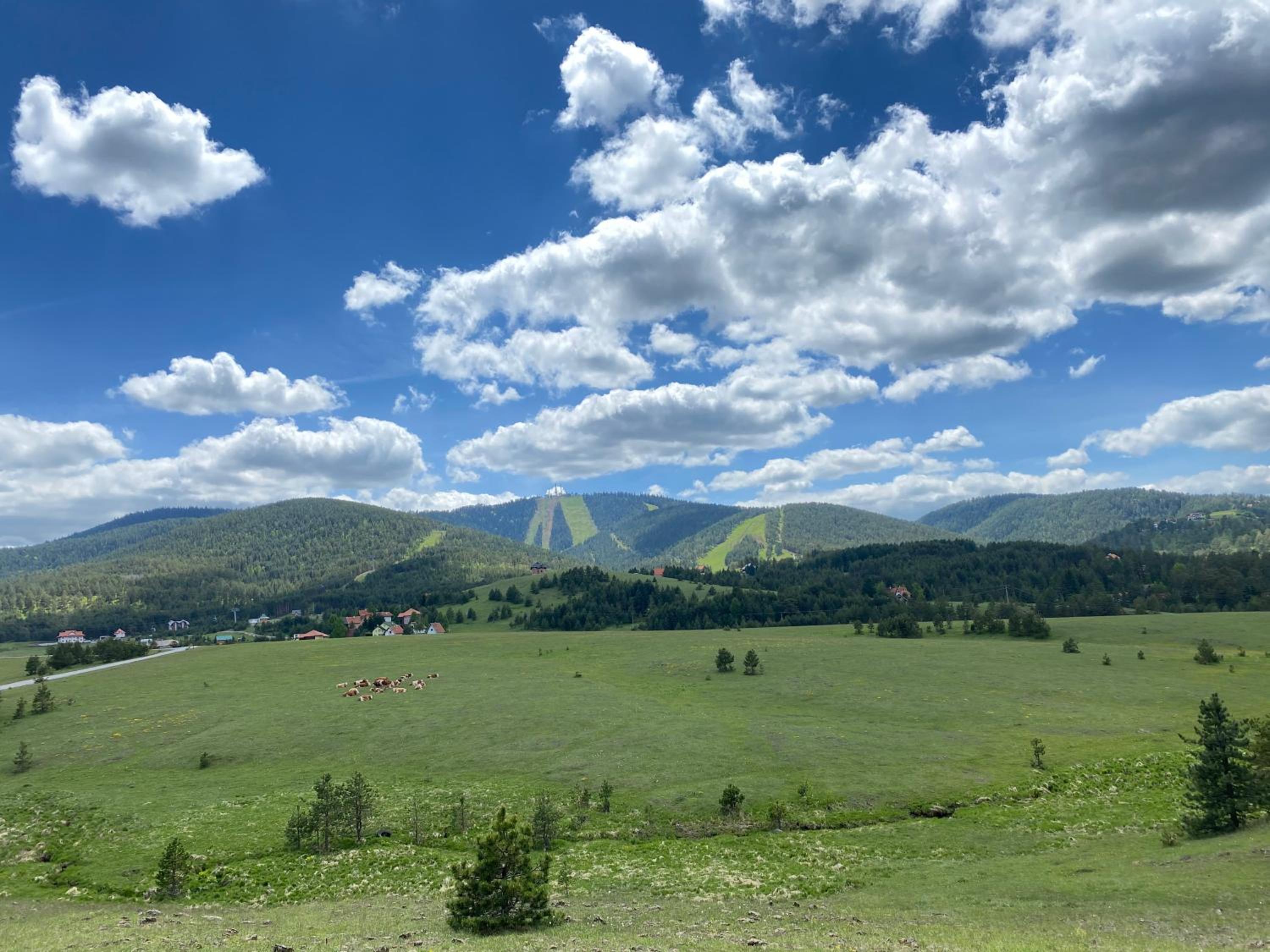 Apartmani Ribnica Tornik view 5