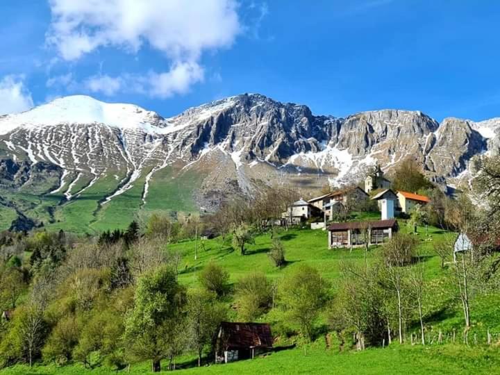 Hiša Lojz view 4