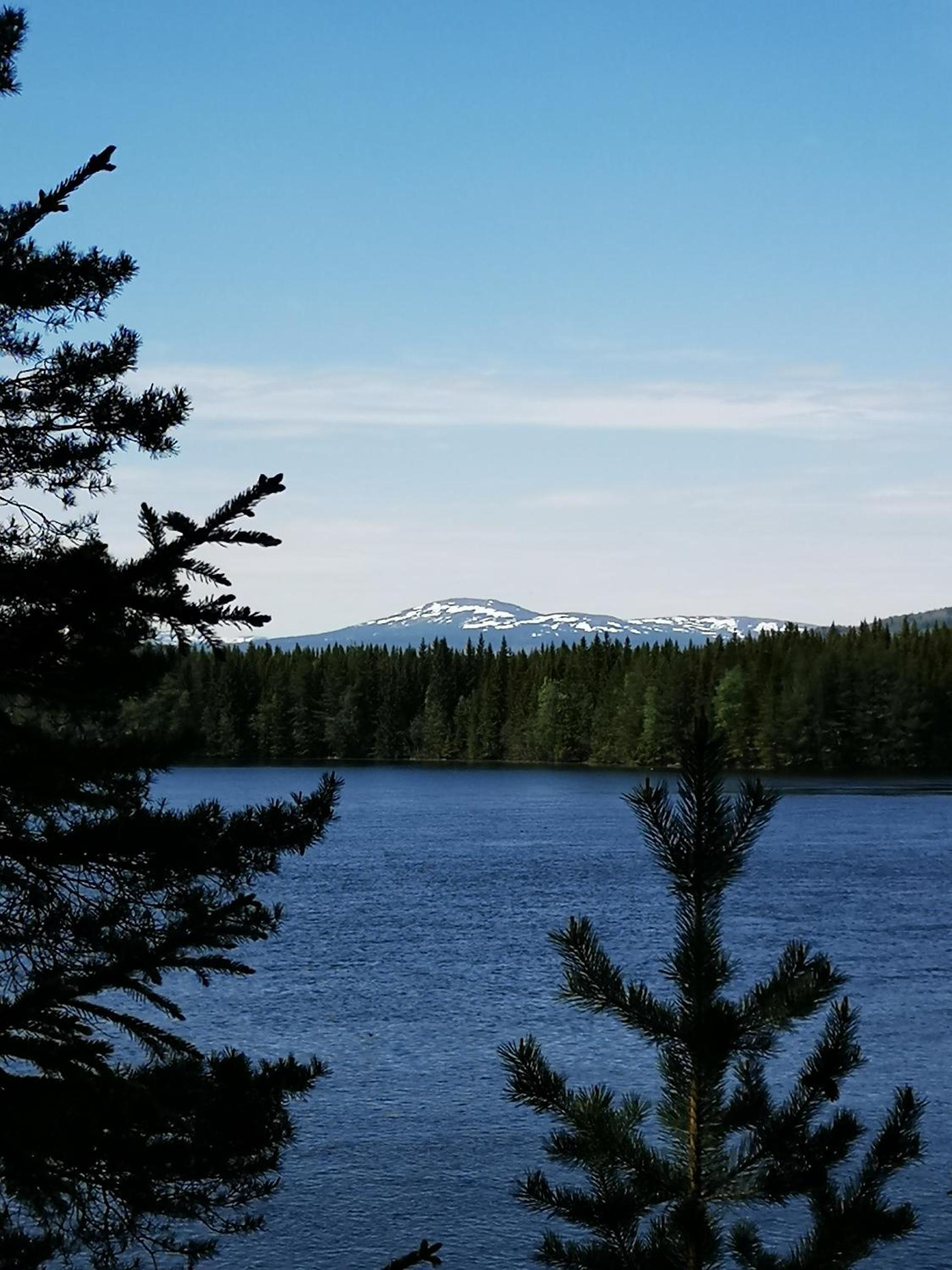 Åredalens fjällgård - Image 5