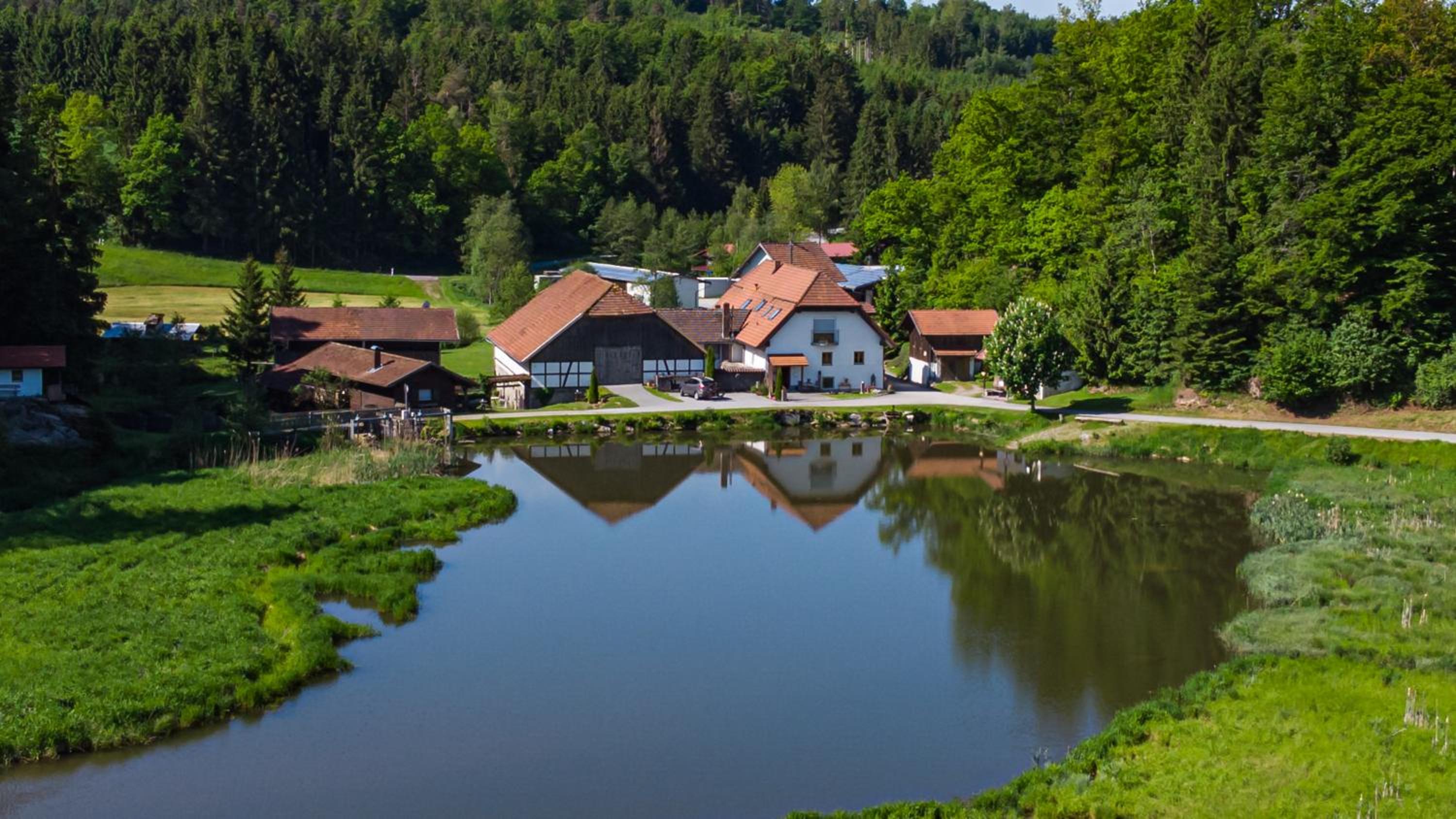 Naturidyll Kollnbergmühle