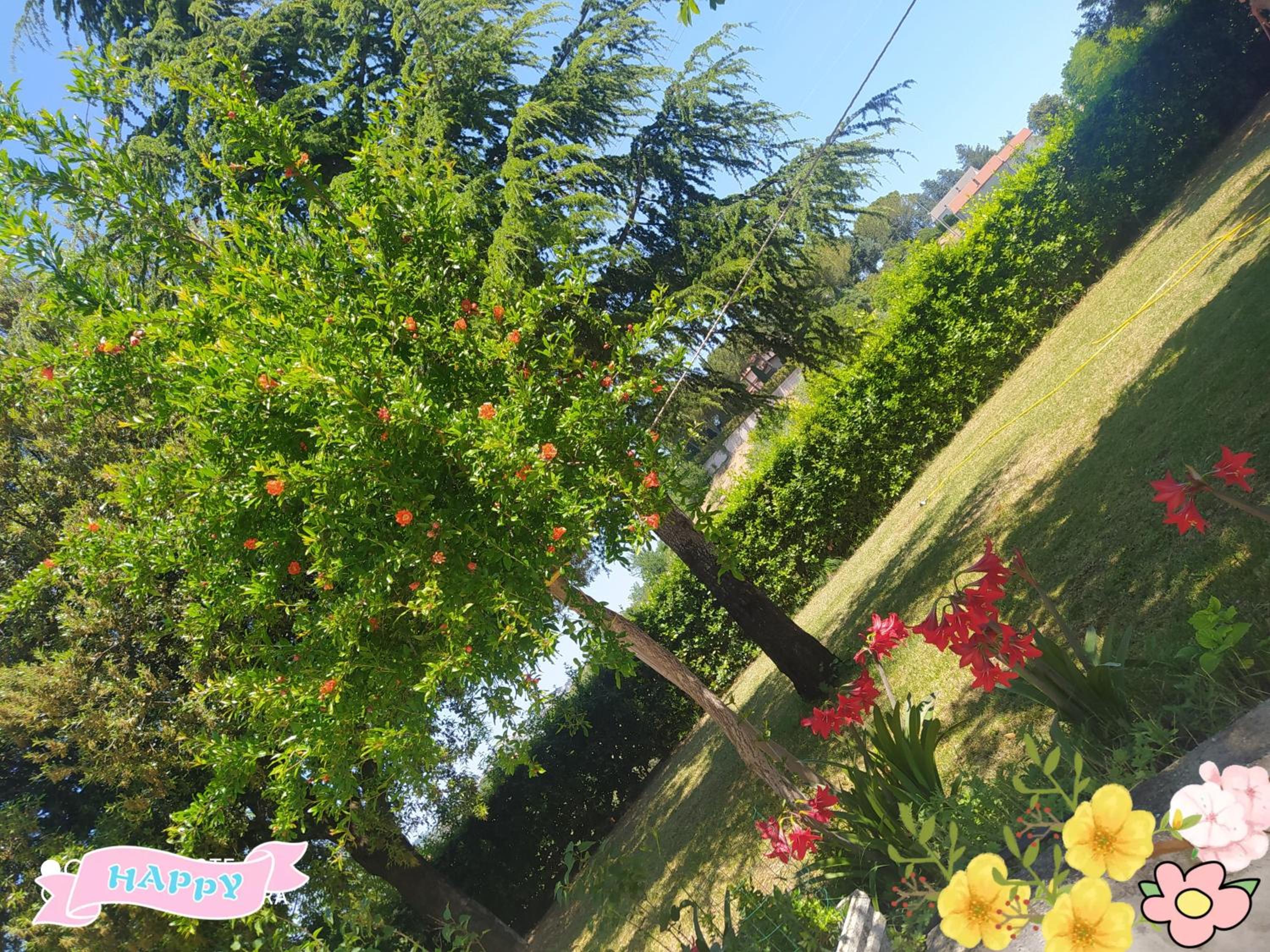 Belvedere Baiocco