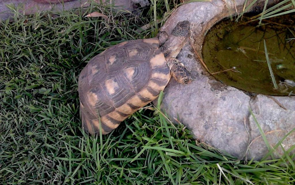 Photo 44