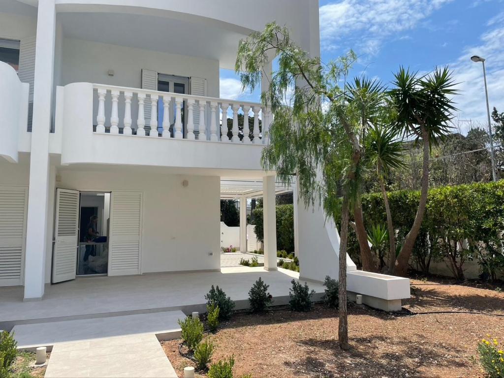 Photo 69