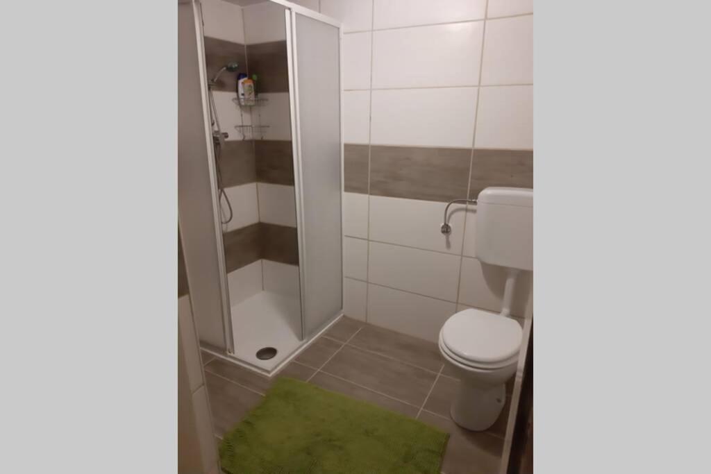 Haus Pinter in Schladming - Dachstein Region
