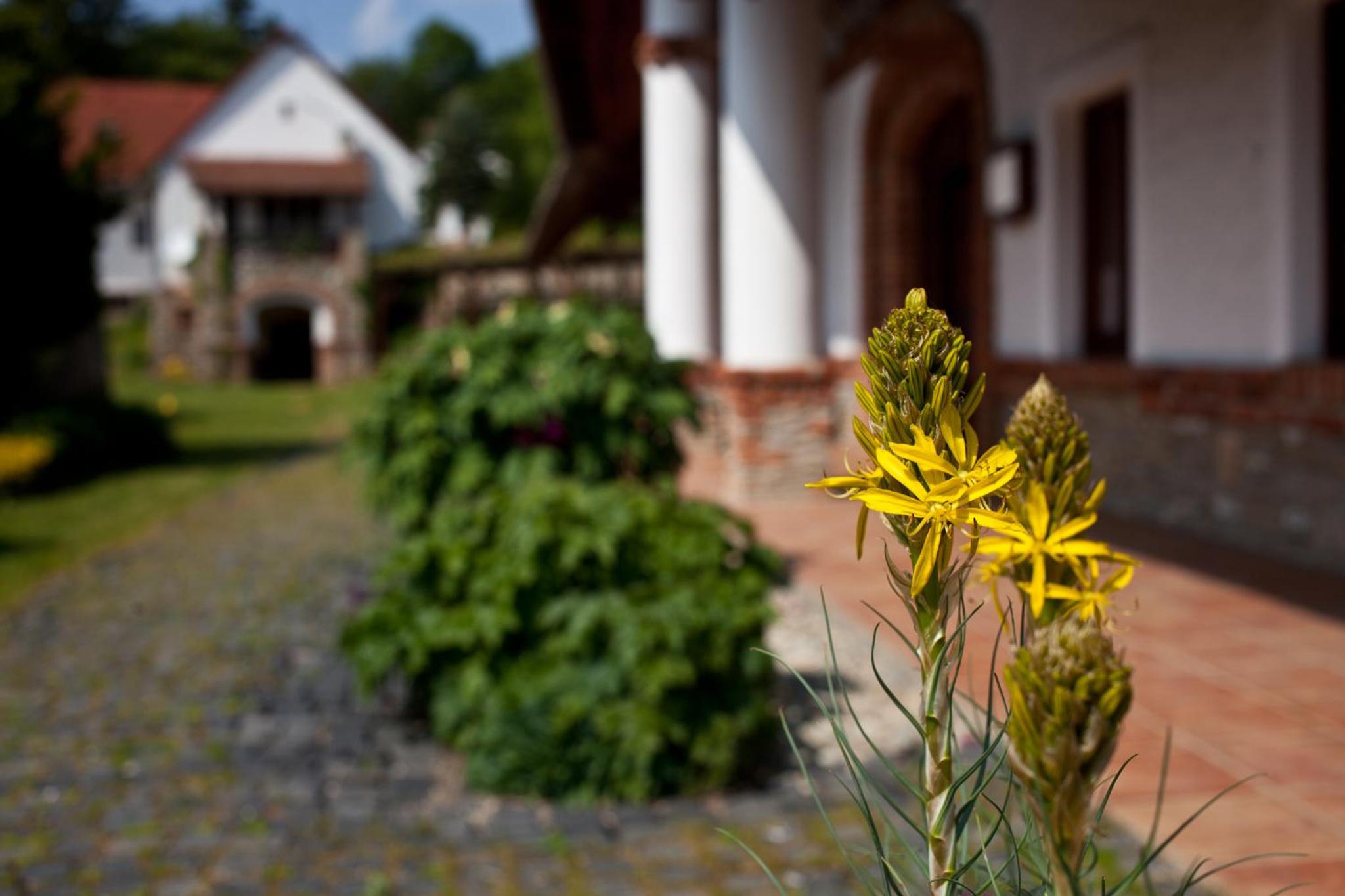 Photo 24