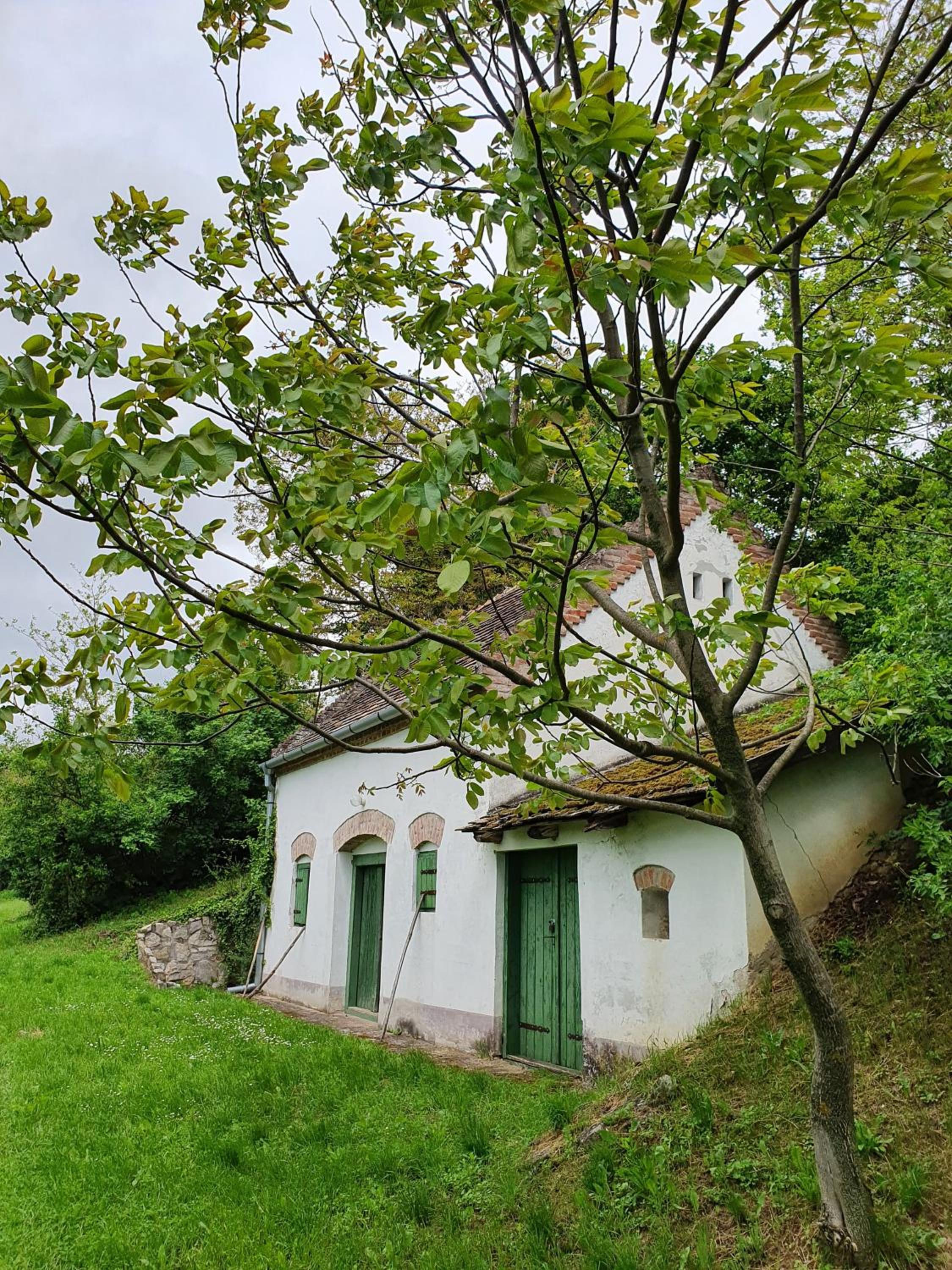 Photo 26