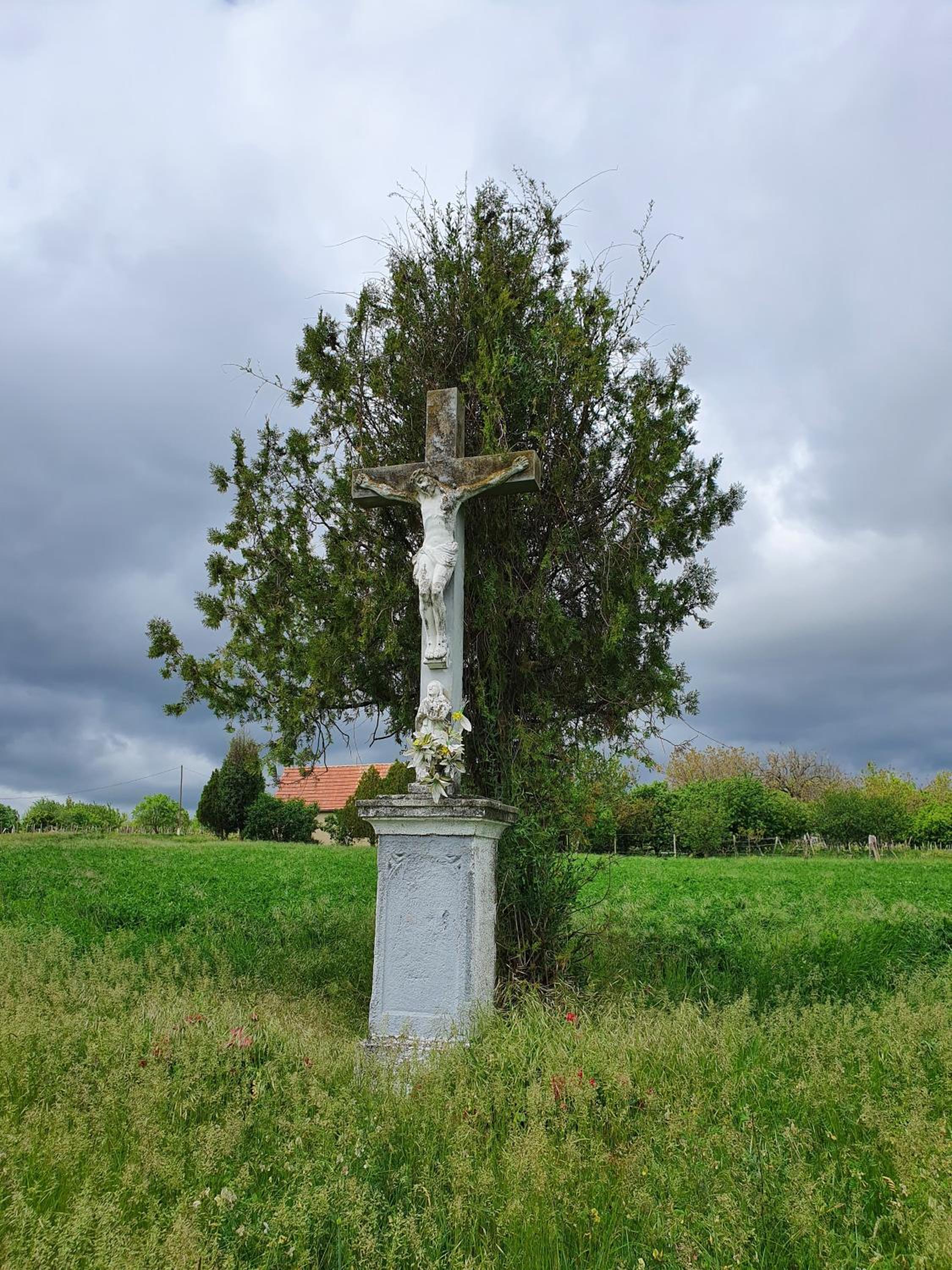 Photo 27