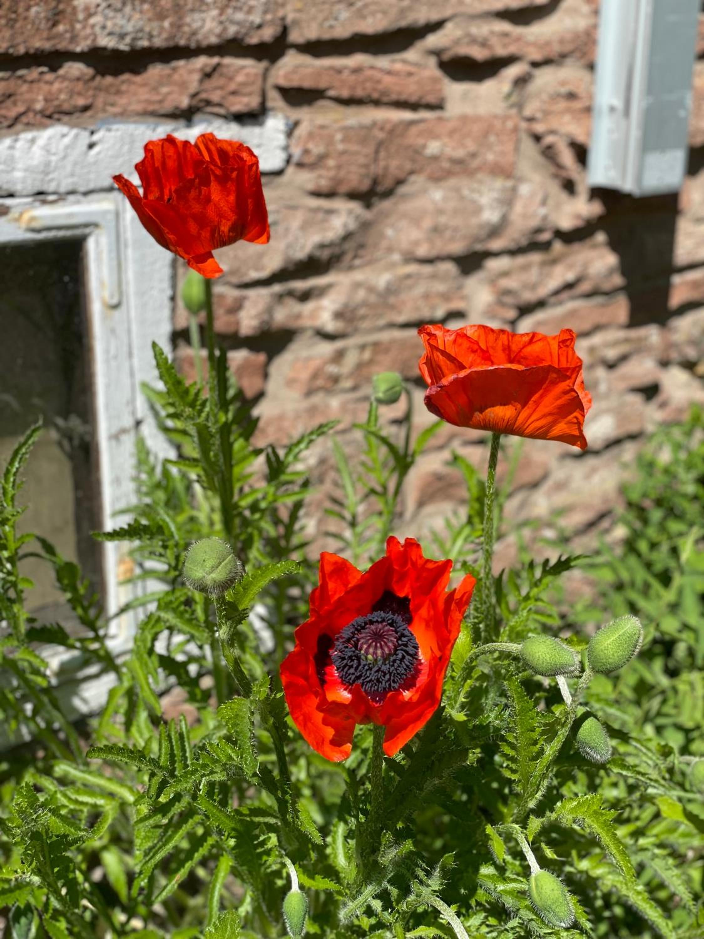 Rosenfors Herrgård B&B