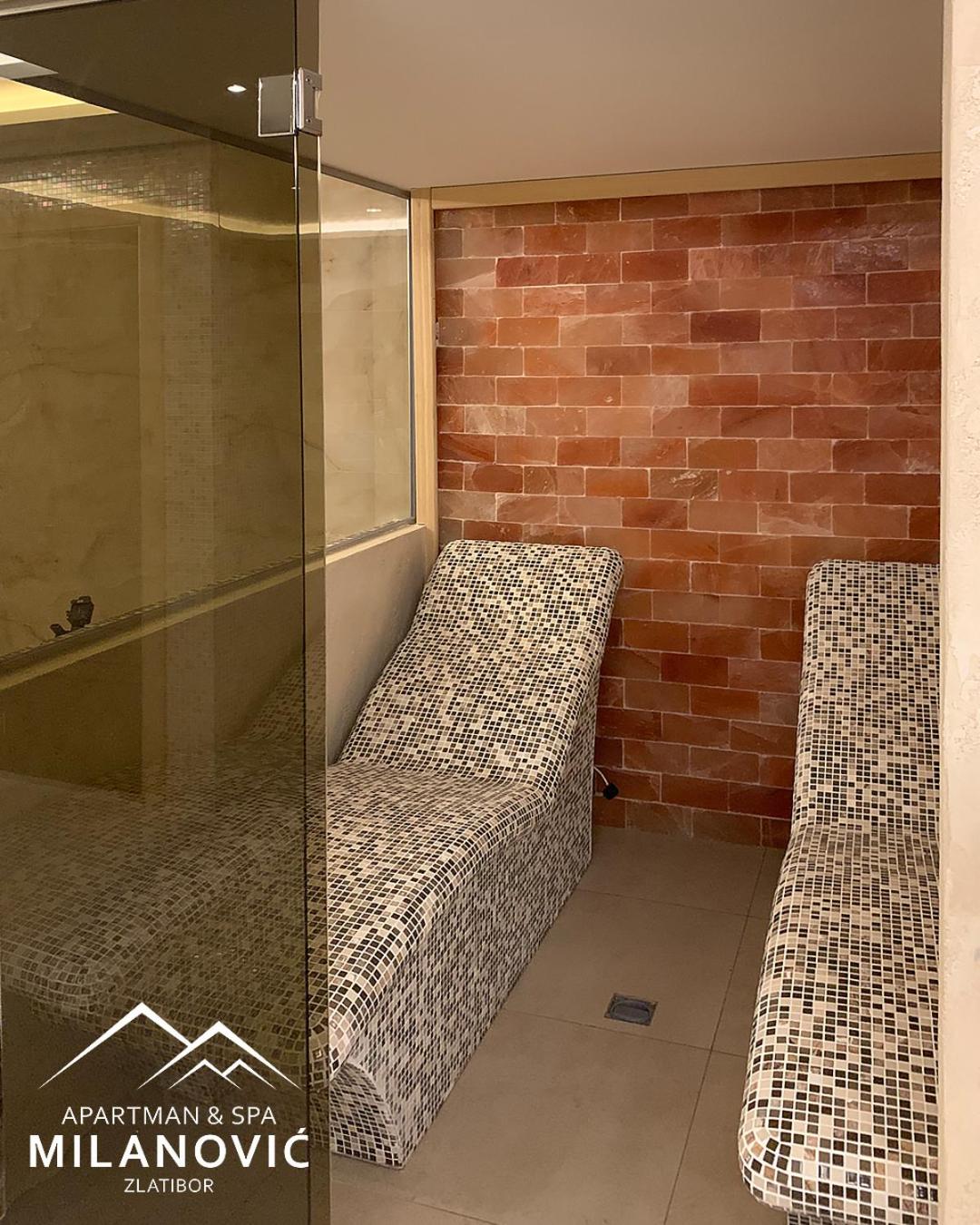 Apartman i spa Milanović Zlatibor view 2