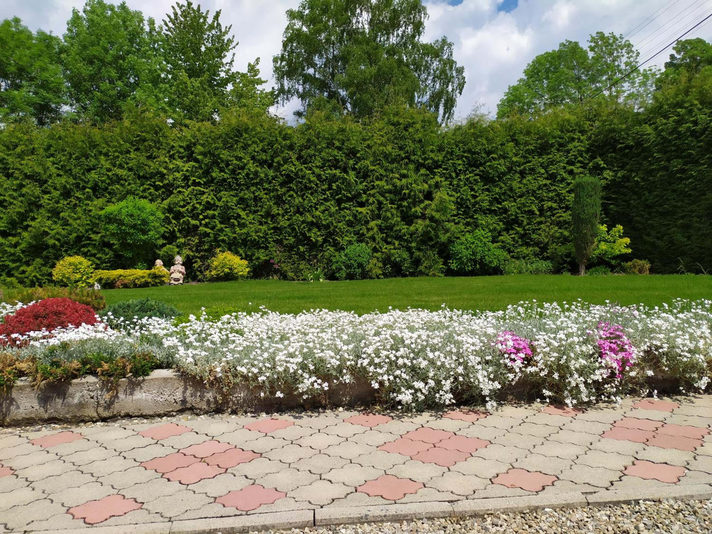 Apartmány Okoun