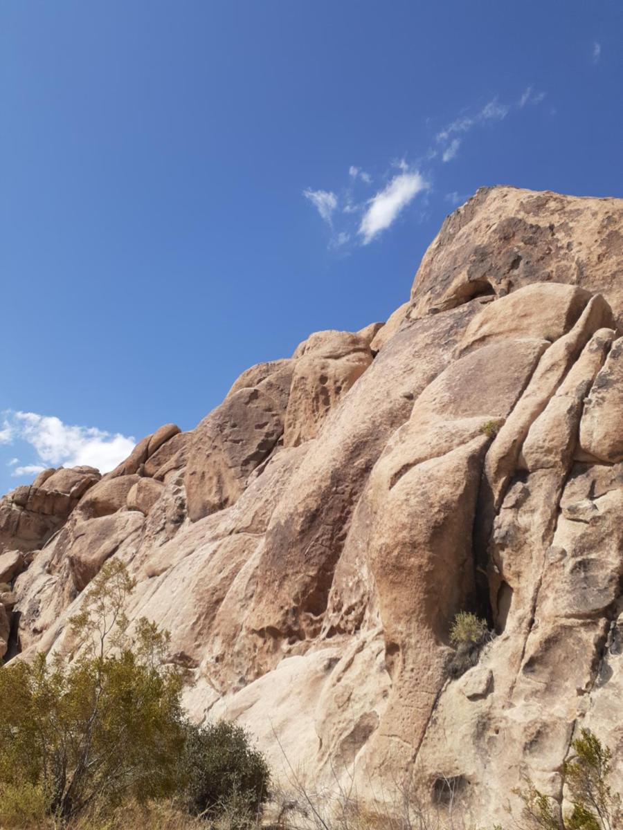 Palm Springs Vacations - Crashpod Hostel - Property Image 55