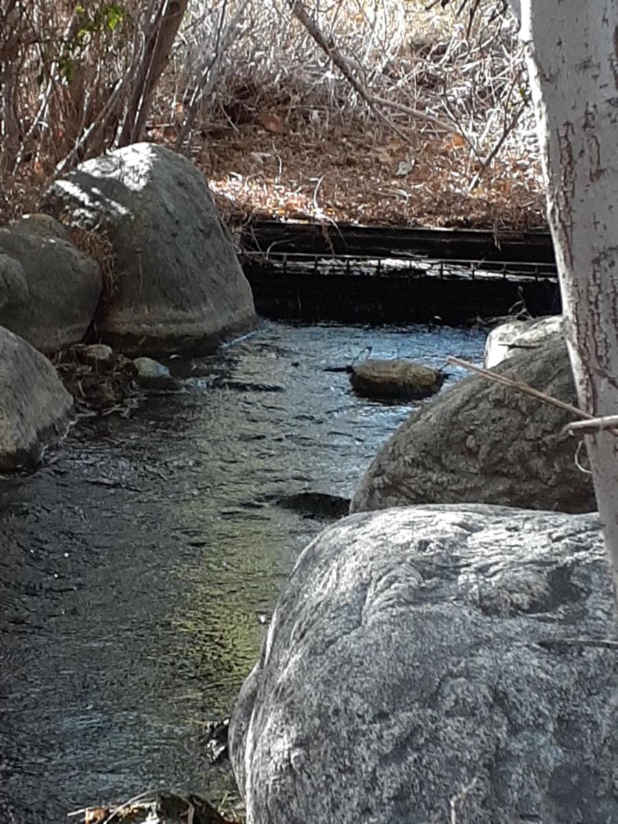 Palm Springs Vacations - Crashpod Hostel - Property Image 21