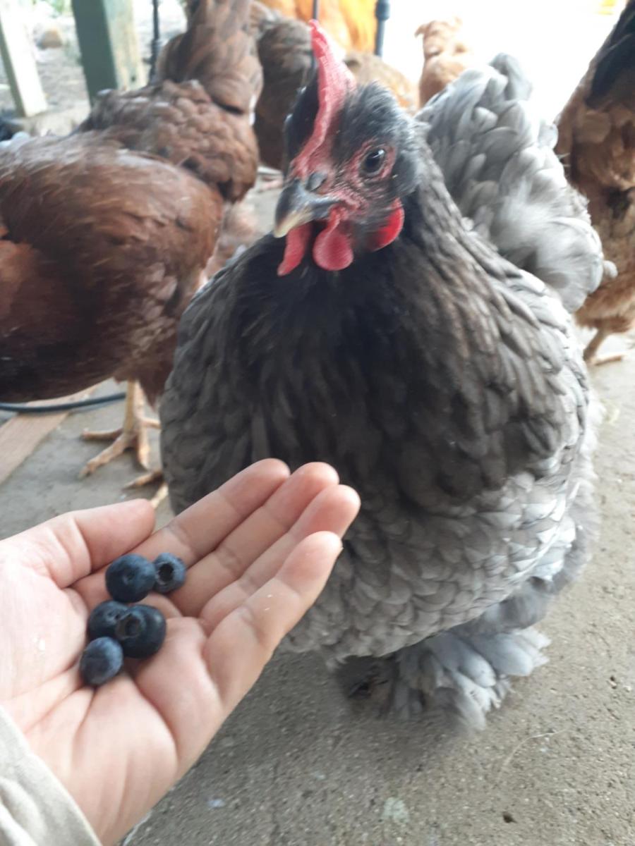 Palm Springs Vacations - Crashpod Hostel - Property Image 3