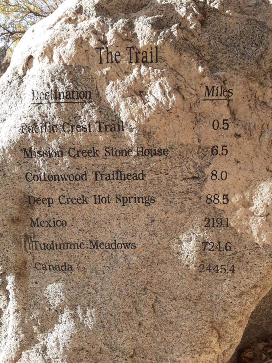 Palm Springs Vacations - Crashpod Hostel - Property Image 16