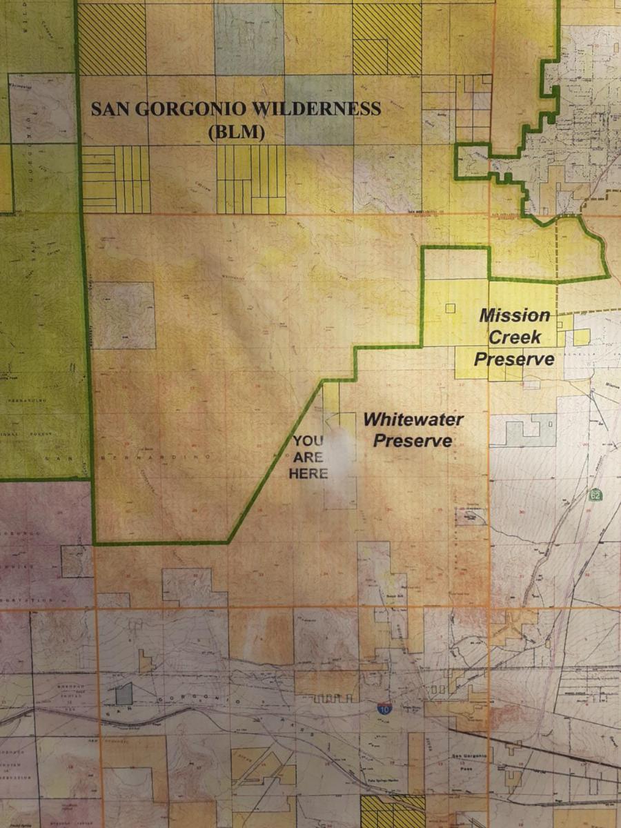 Palm Springs Vacations - Crashpod Hostel - Property Image 2