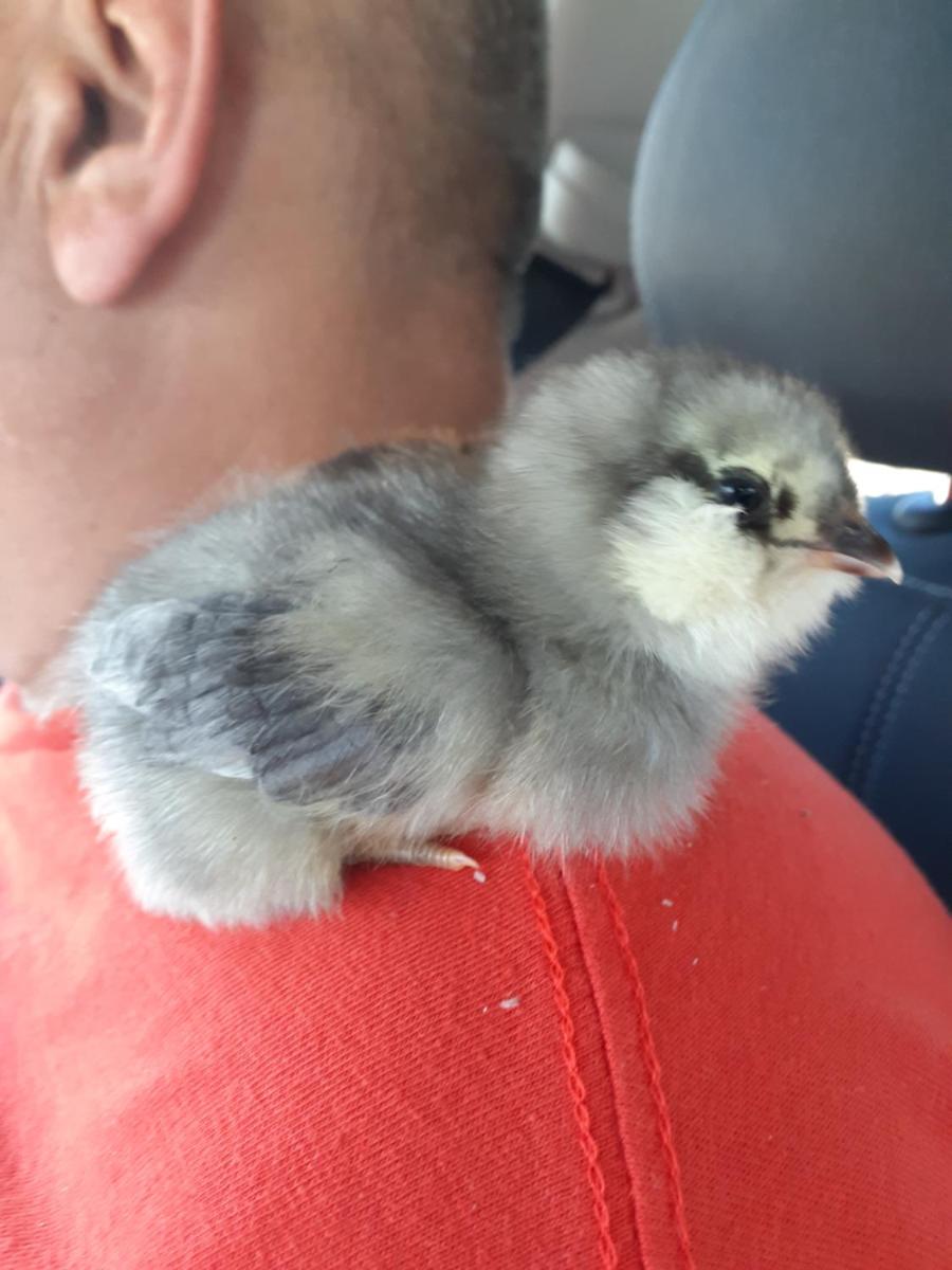 Palm Springs Vacations - Crashpod Hostel - Property Image 25