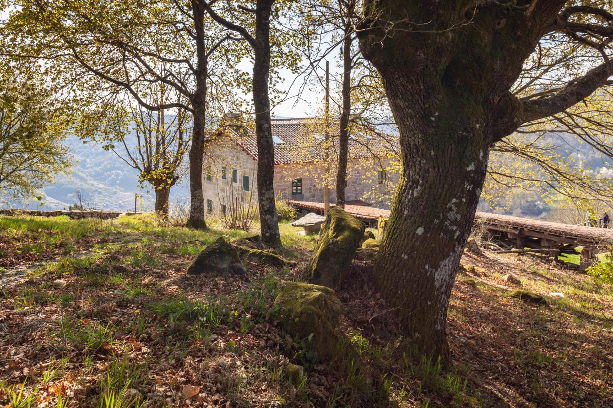 Casa Vistaboa Ribeira Sacra view 2