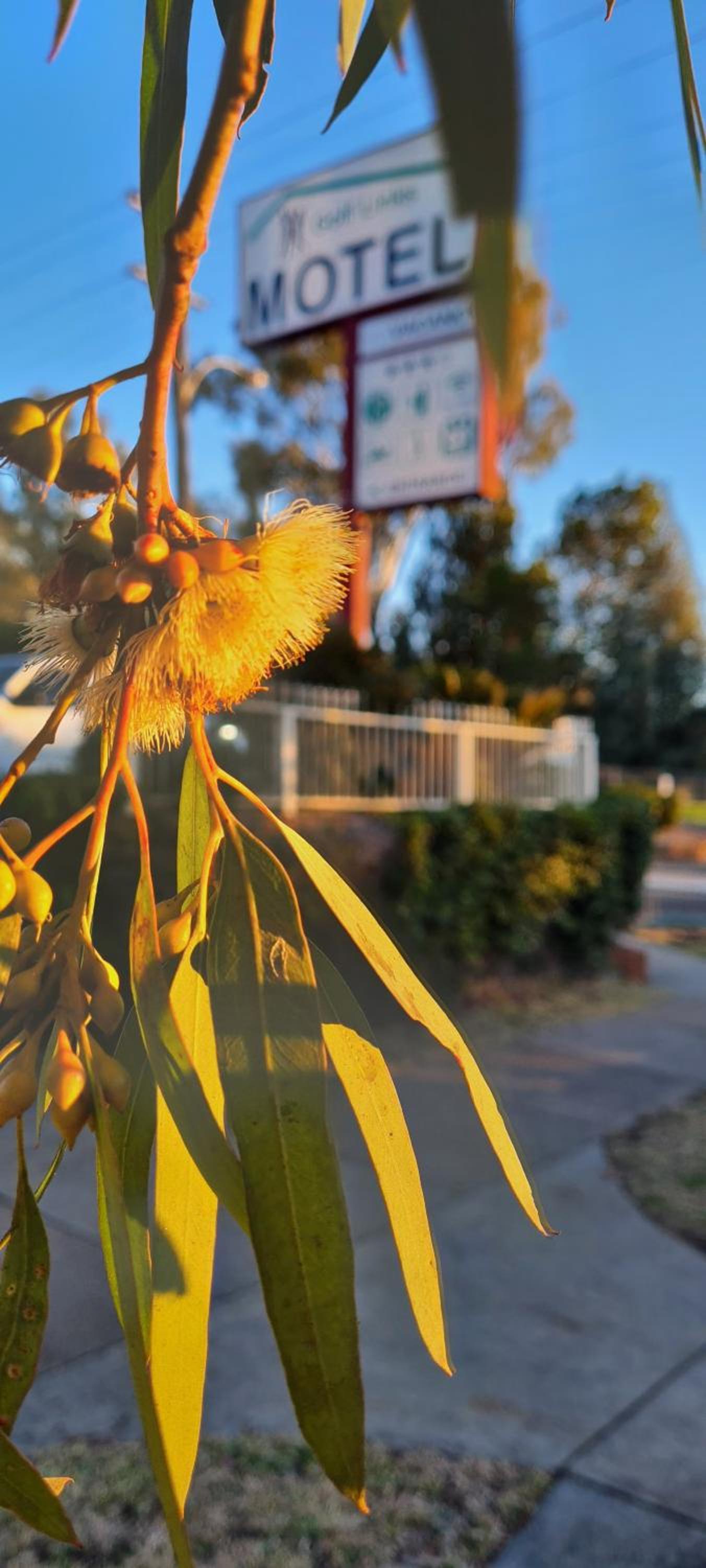 Golf Links Motel