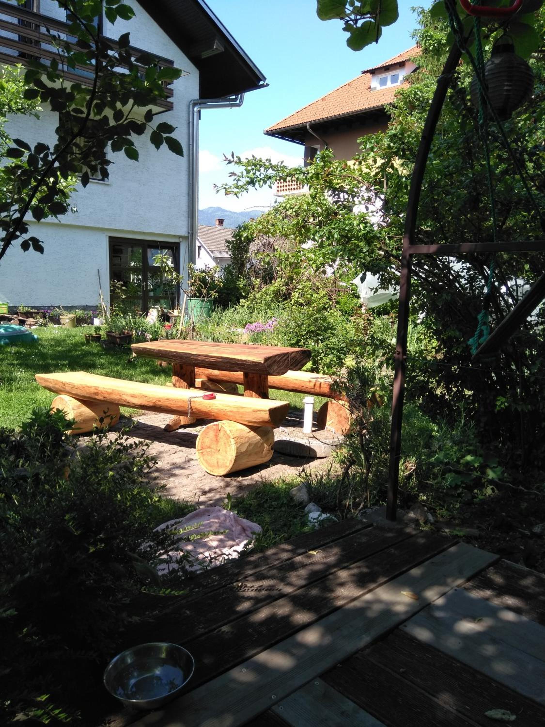 Photo 41