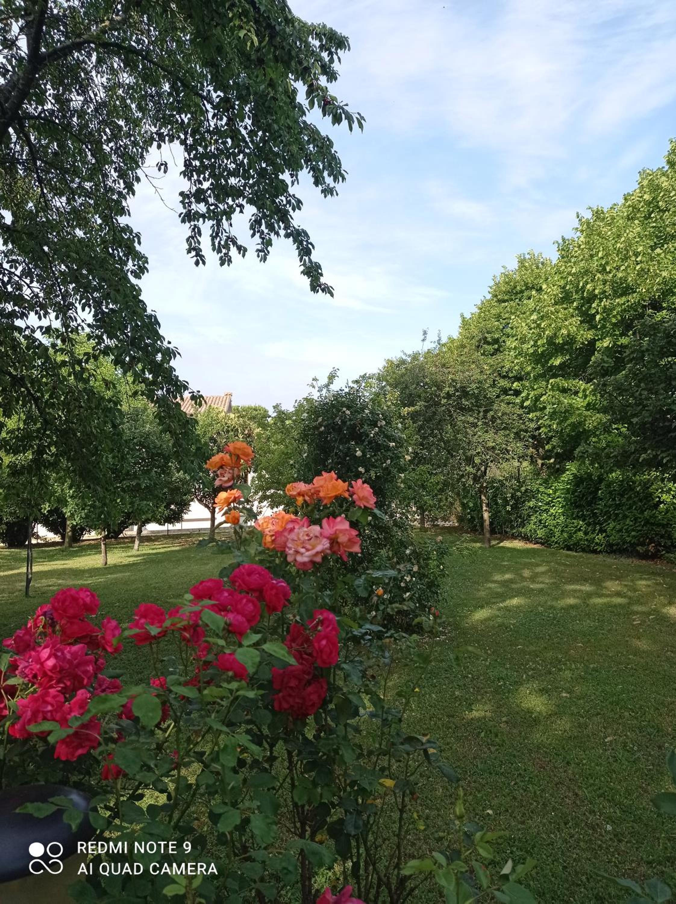 B&B I Sassetti