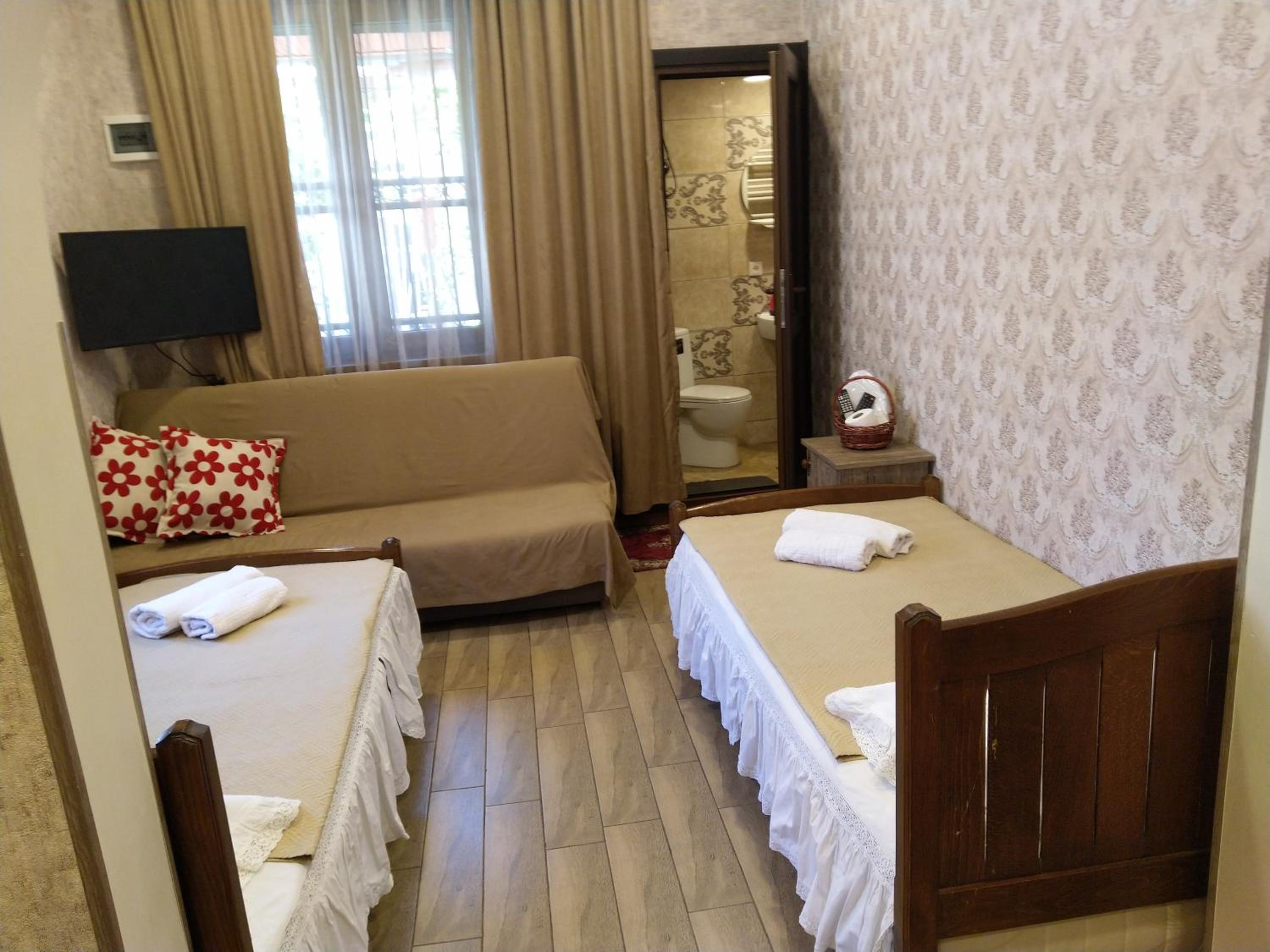 Old Tbilisi Tsiskari APT view 5