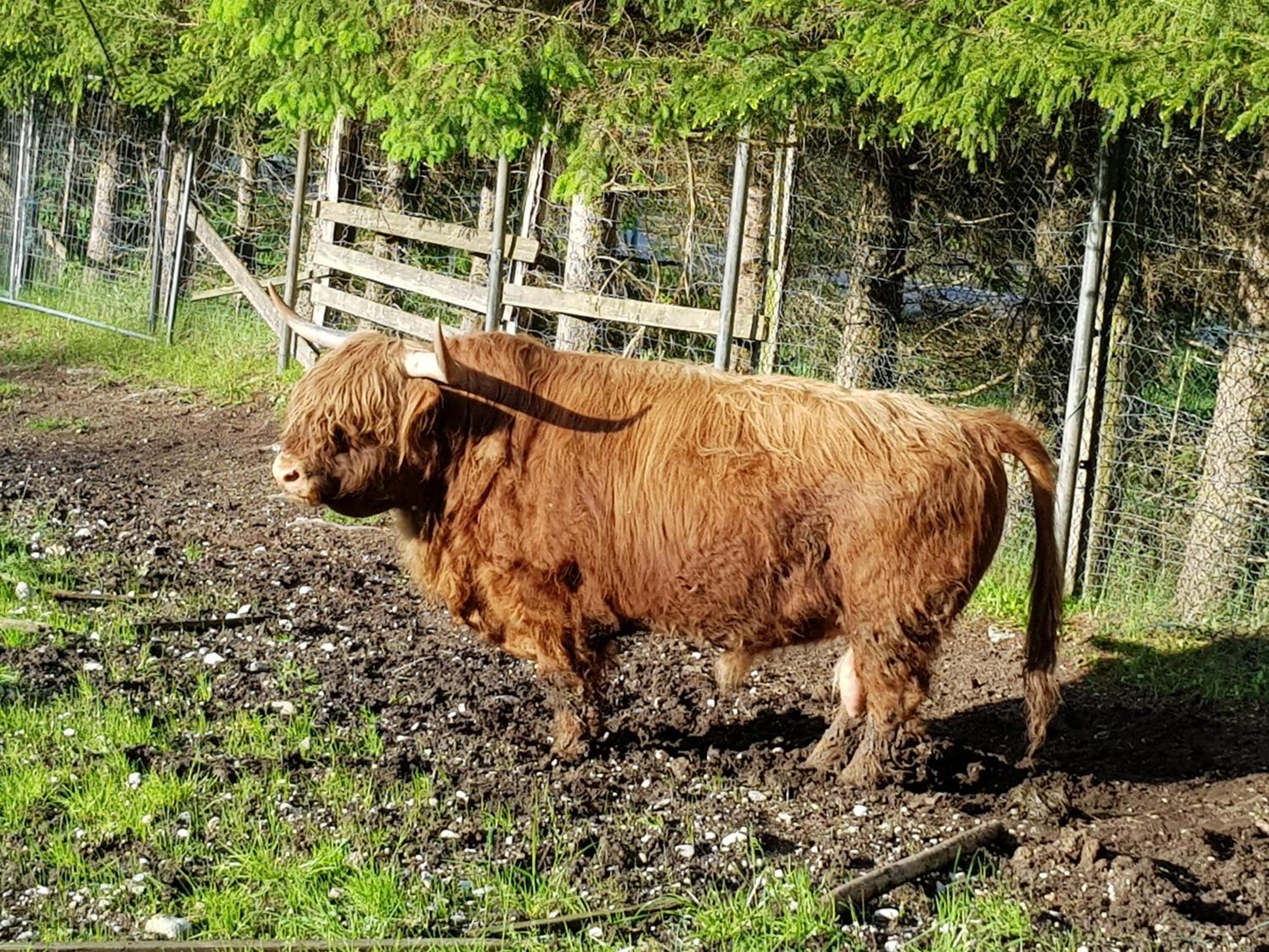 Ferienwohnung im Gartenparadies