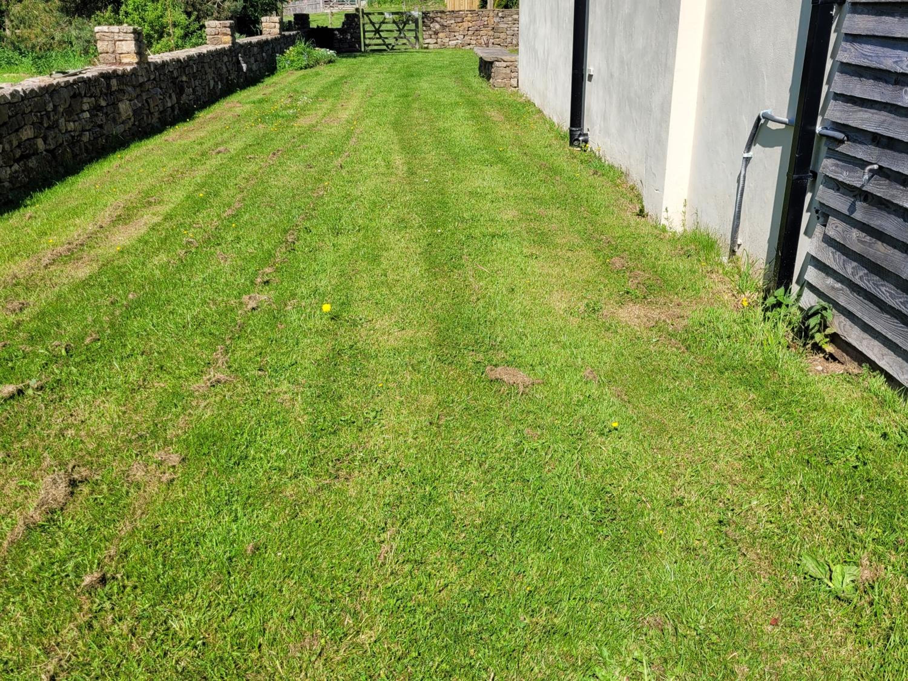 Photo 47