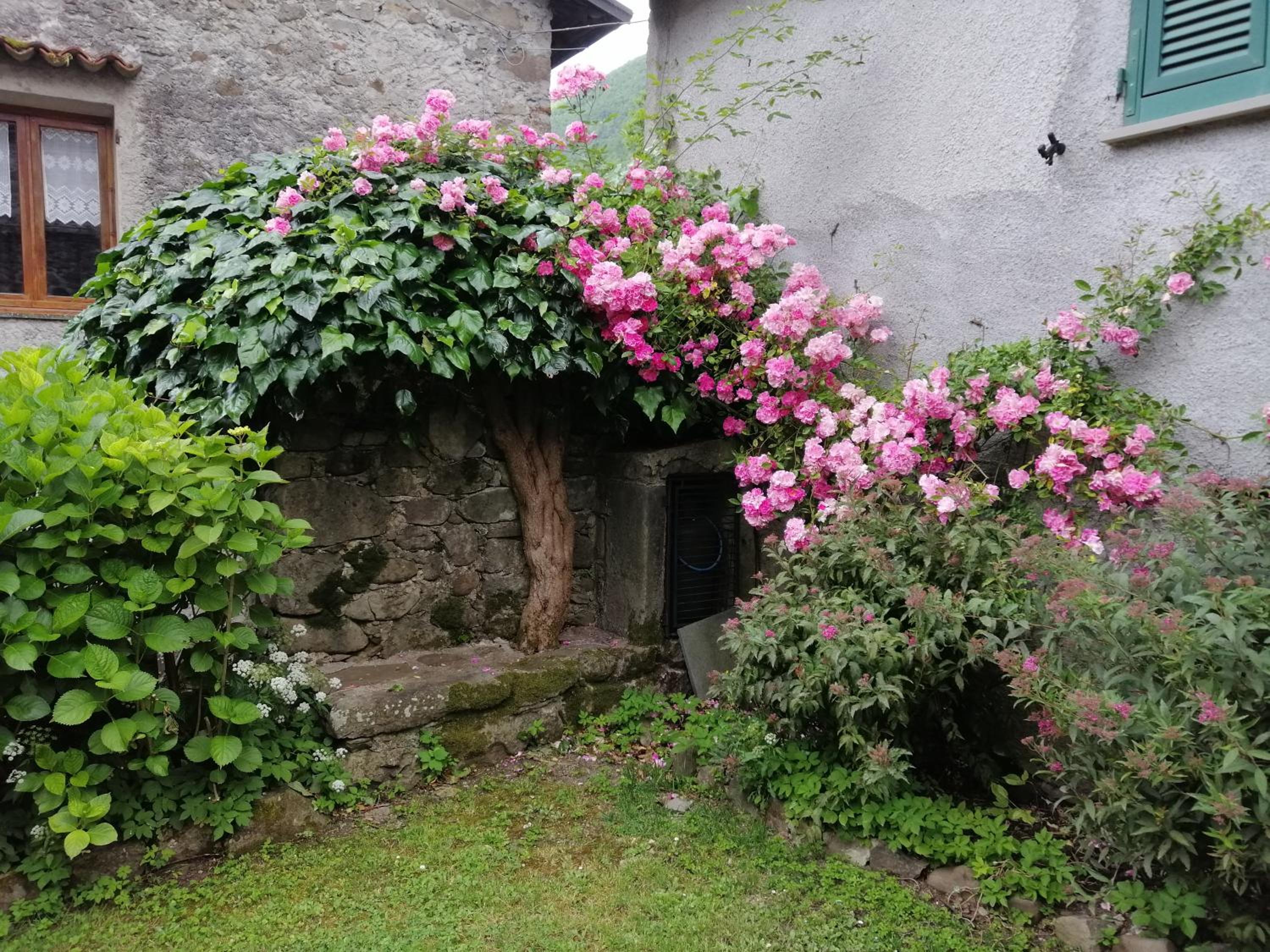Photo 25