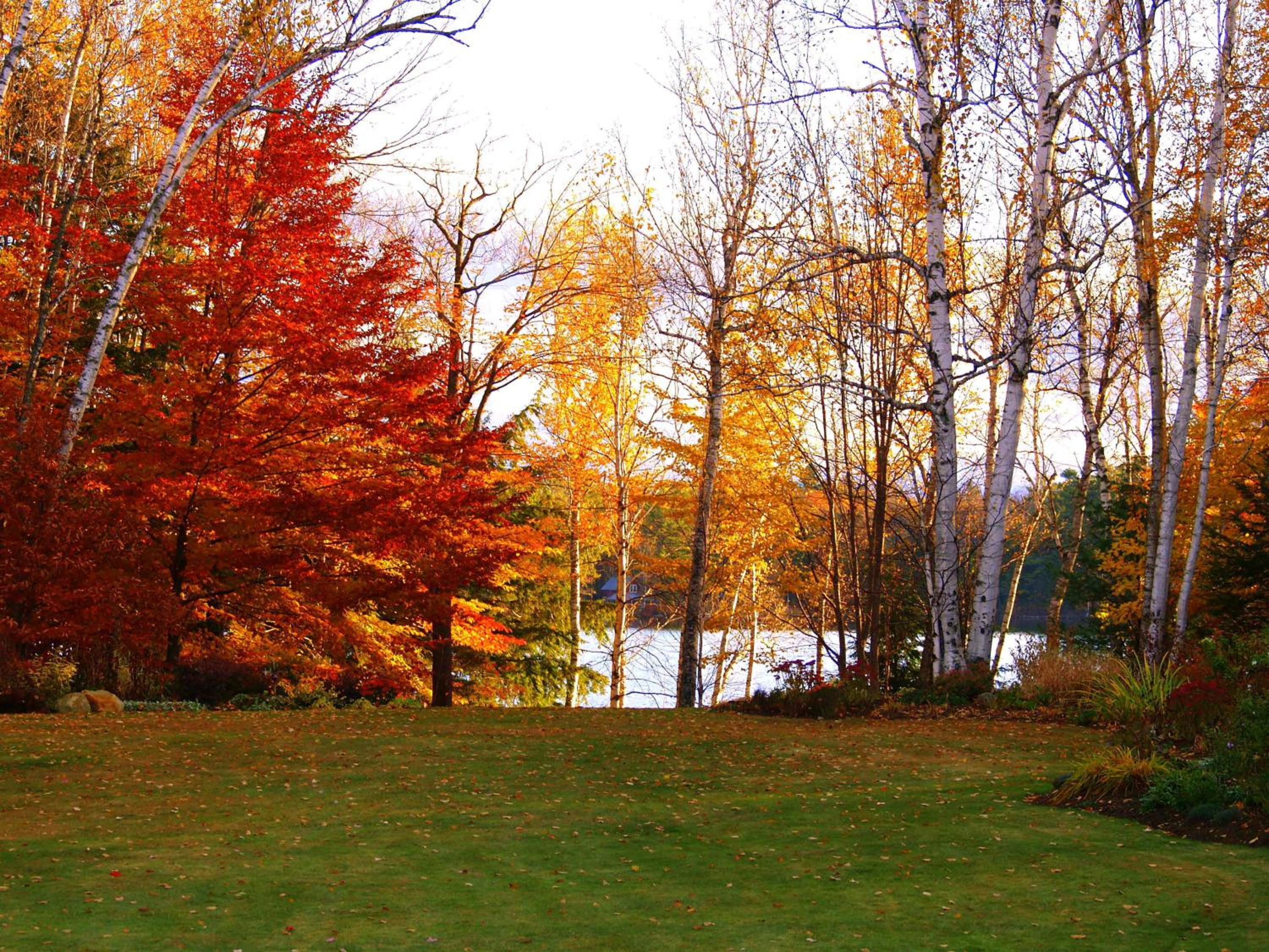 Wilson Lake Inn