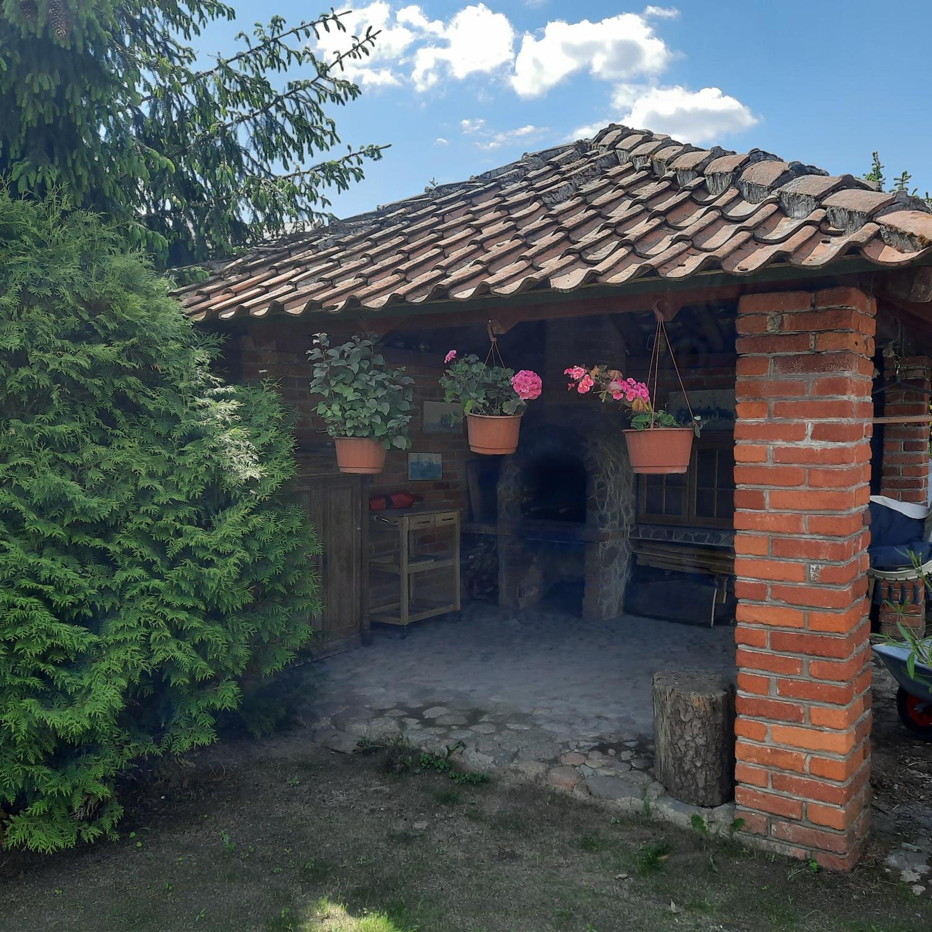 Photo 42