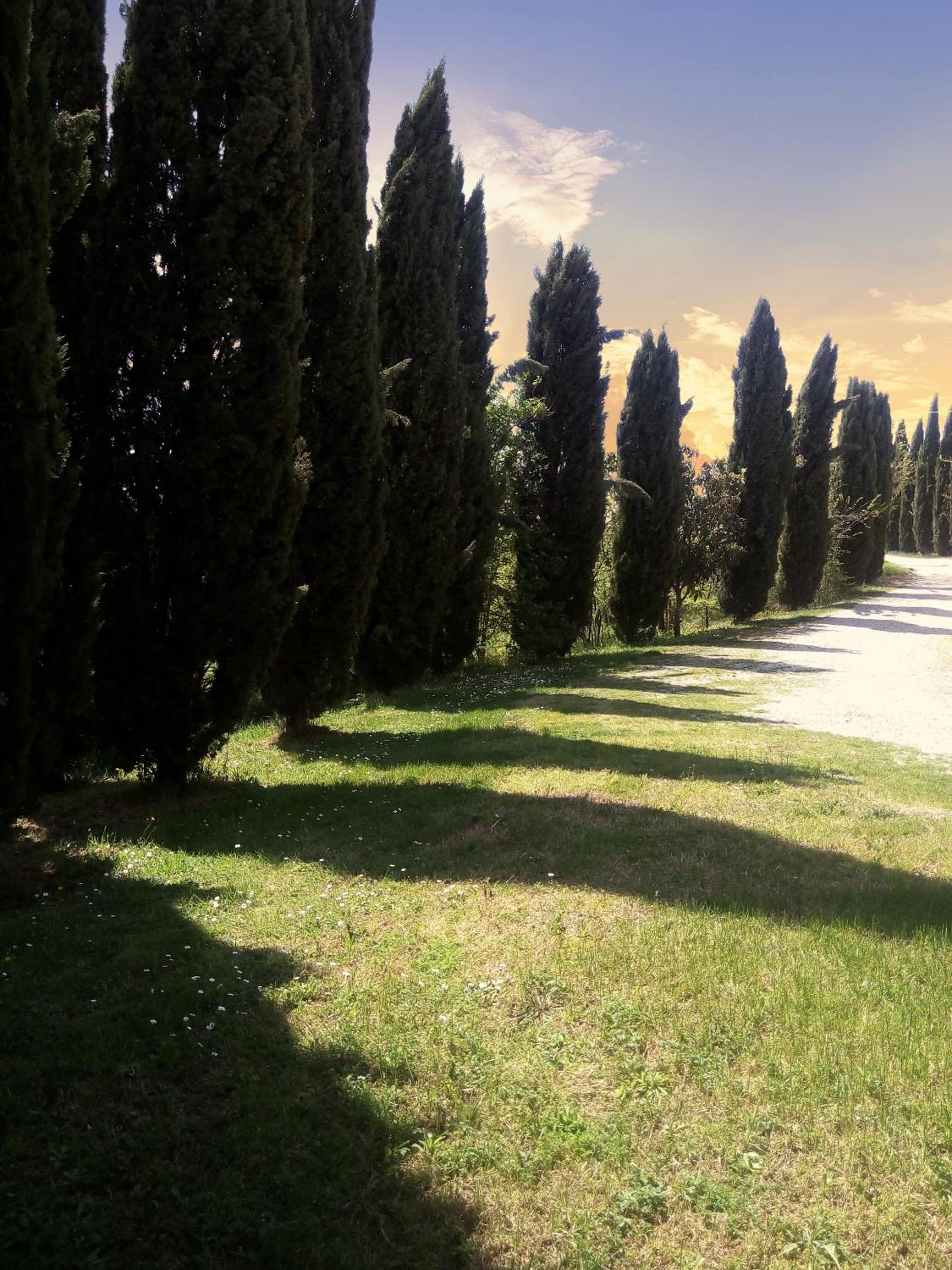 Podere Cartaio Bio Farm, private pool, AirC