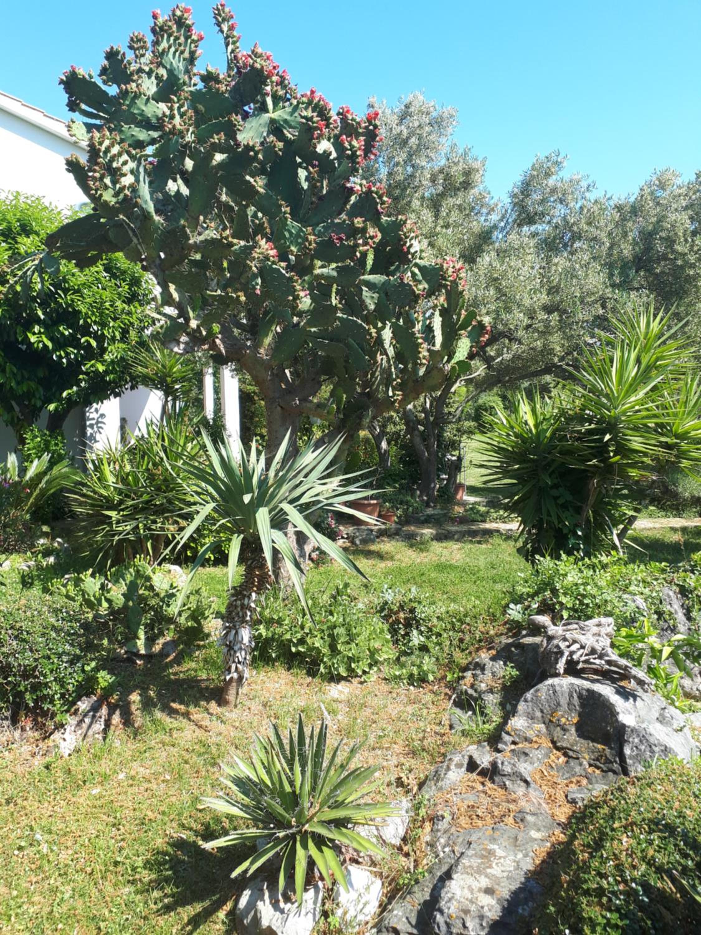 Photo 20